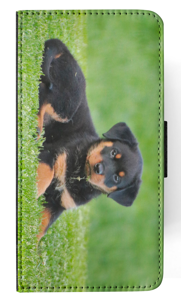 Bild 102 von 120