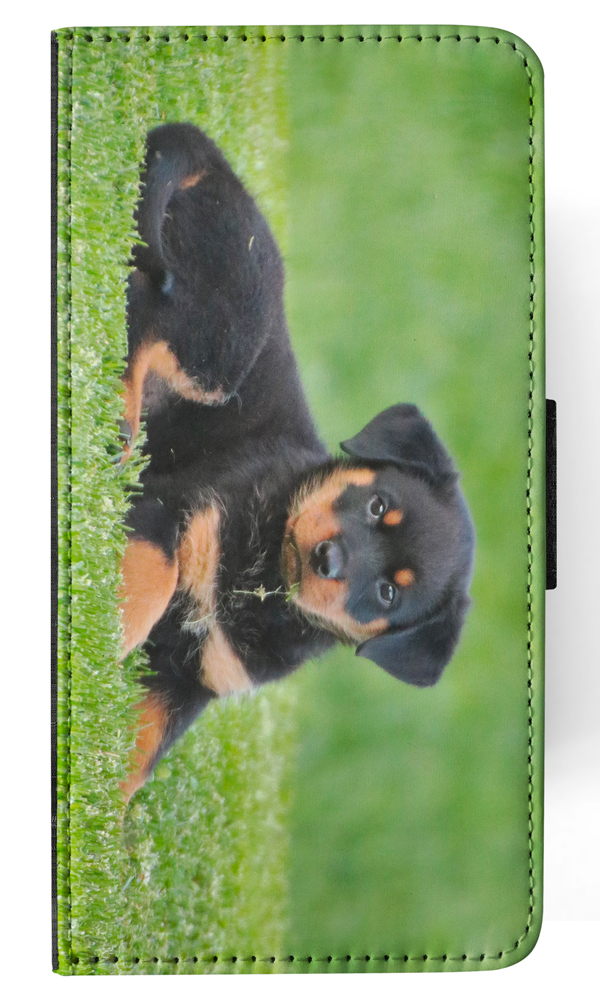 Bild 72 von 120