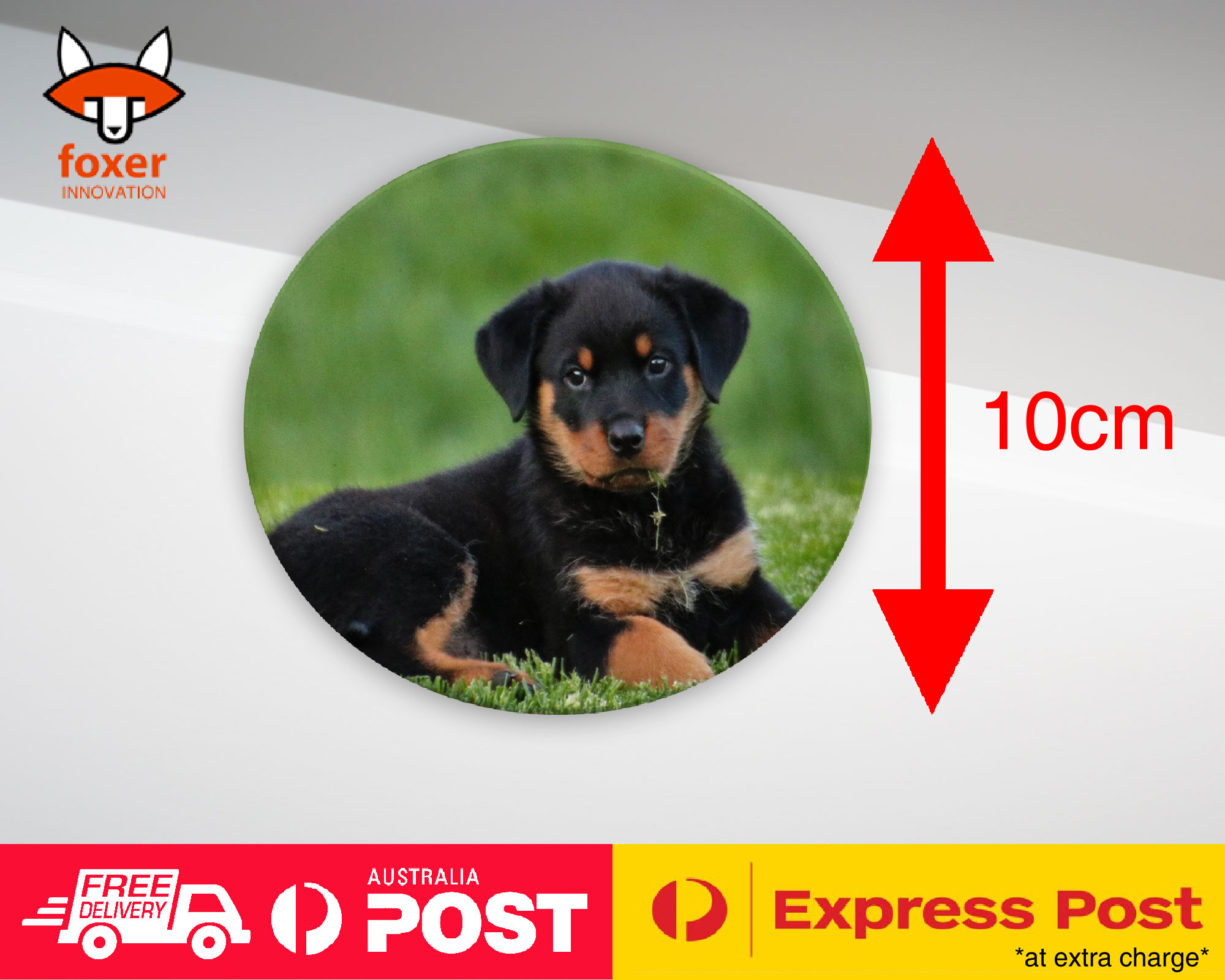ALFOMBRA DE CAFÉ DE MONTAÑA | ROTTWEILER PERRO 8 - Imagen 11 de 21
