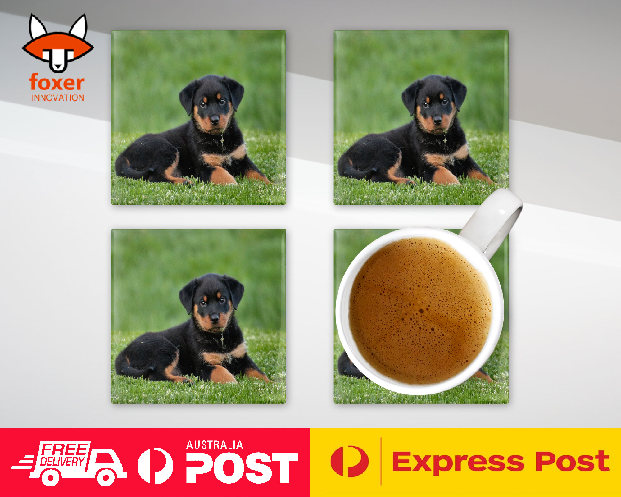 ALFOMBRA DE CAFÉ DE MONTAÑA | ROTTWEILER PERRO 8 - Imagen 19 de 21