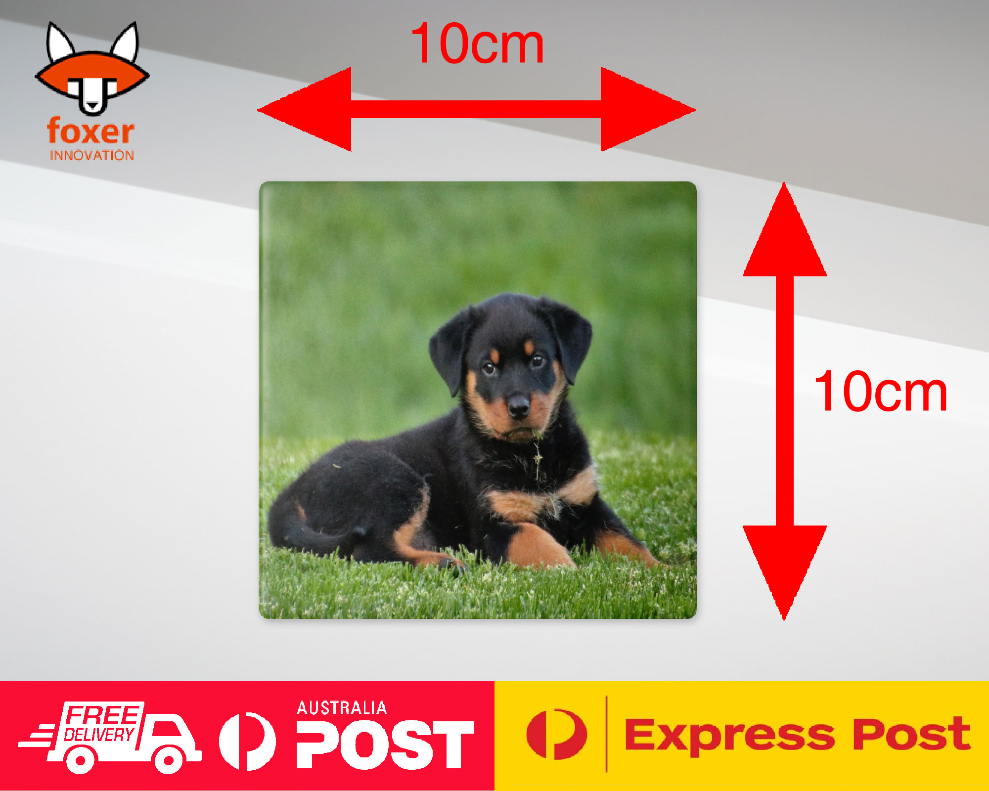 ALFOMBRA DE CAFÉ DE MONTAÑA | ROTTWEILER PERRO 8 - Imagen 21 de 21