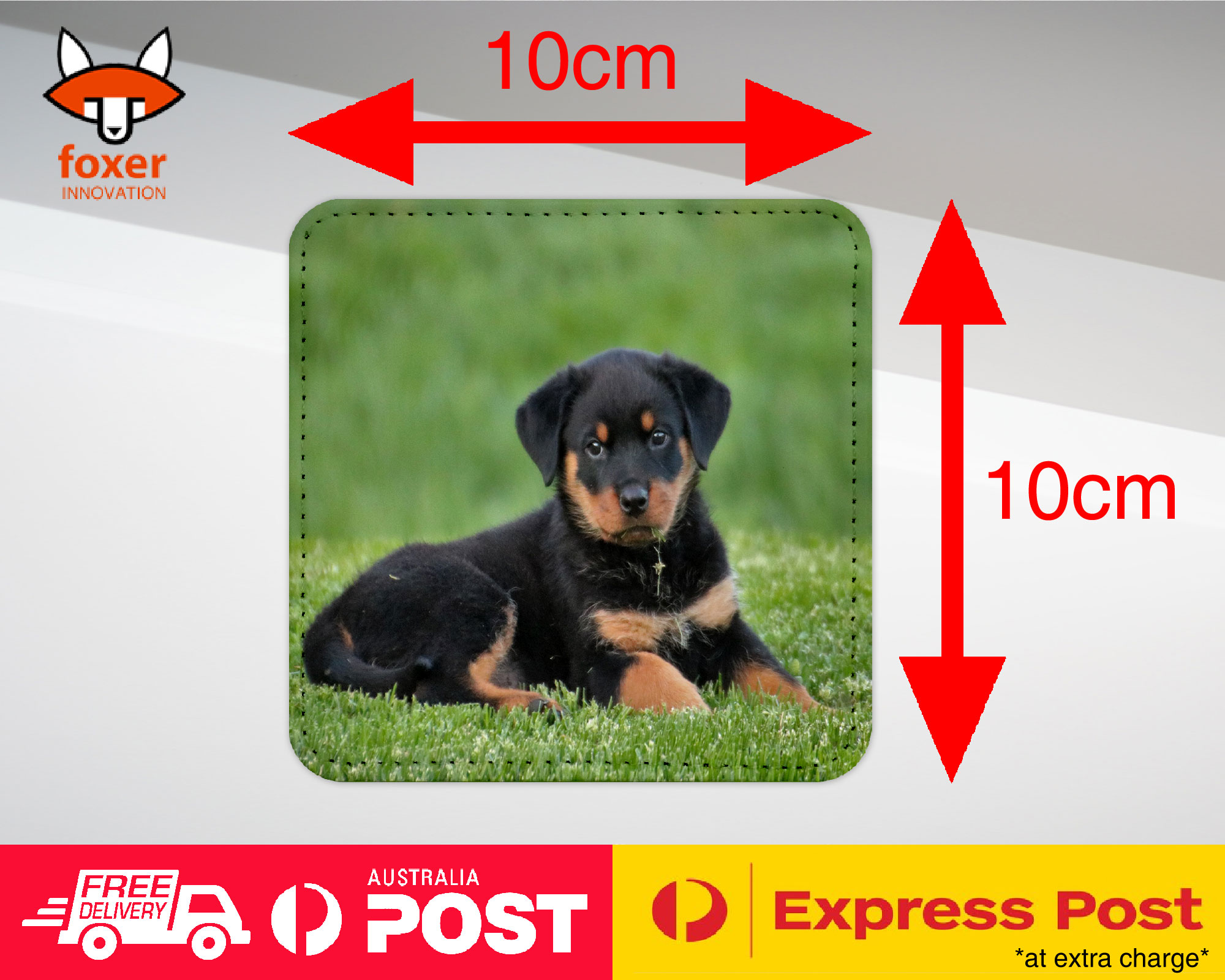 ALFOMBRA DE CAFÉ DE MONTAÑA | ROTTWEILER PERRO 8 - Imagen 17 de 21