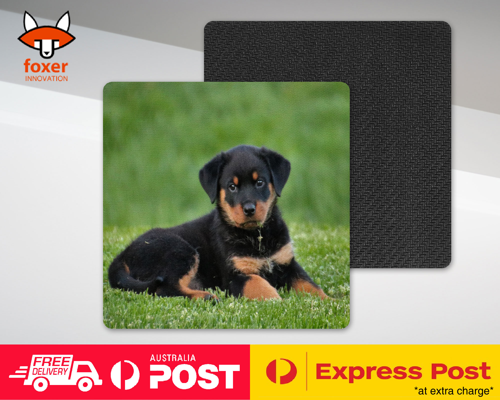 ALFOMBRA DE CAFÉ DE MONTAÑA | ROTTWEILER PERRO 8 - Imagen 12 de 21