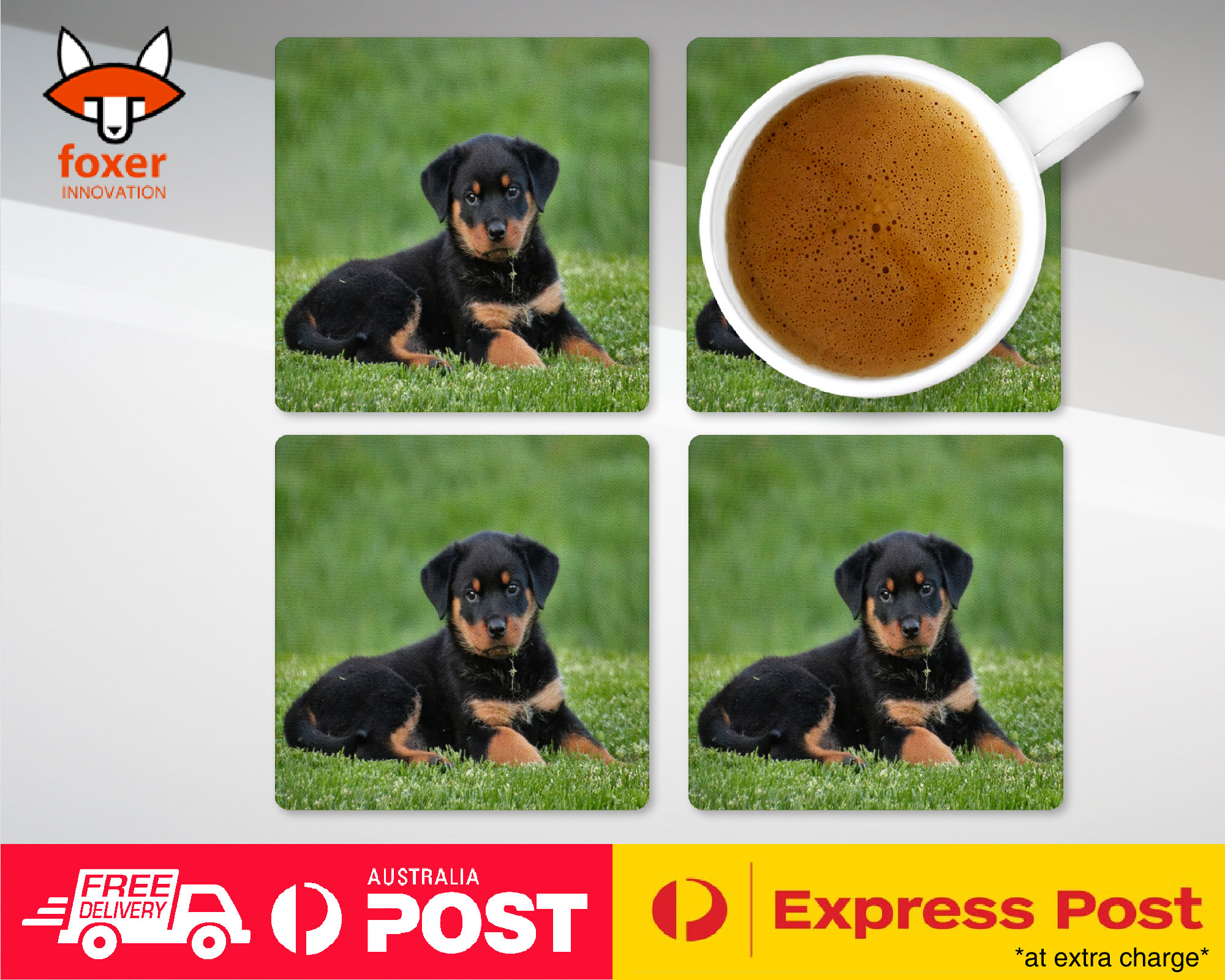 ALFOMBRA DE CAFÉ DE MONTAÑA | ROTTWEILER PERRO 8 - Imagen 13 de 21