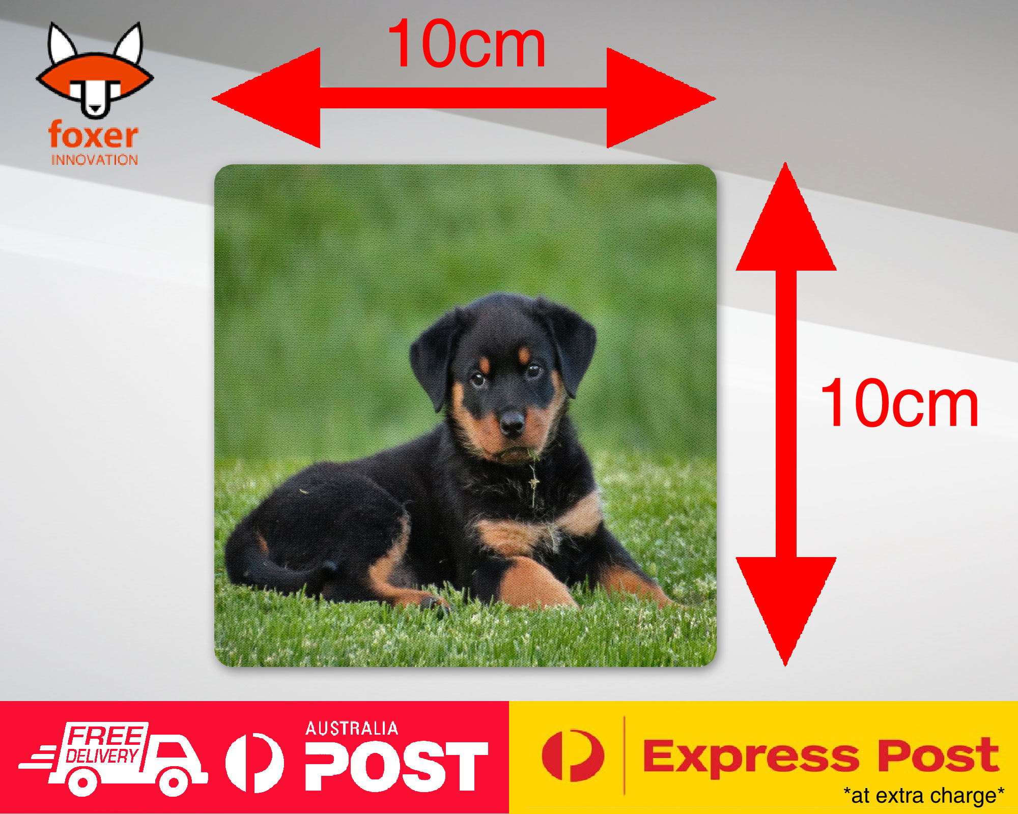 ALFOMBRA DE CAFÉ DE MONTAÑA | ROTTWEILER PERRO 8 - Imagen 14 de 21