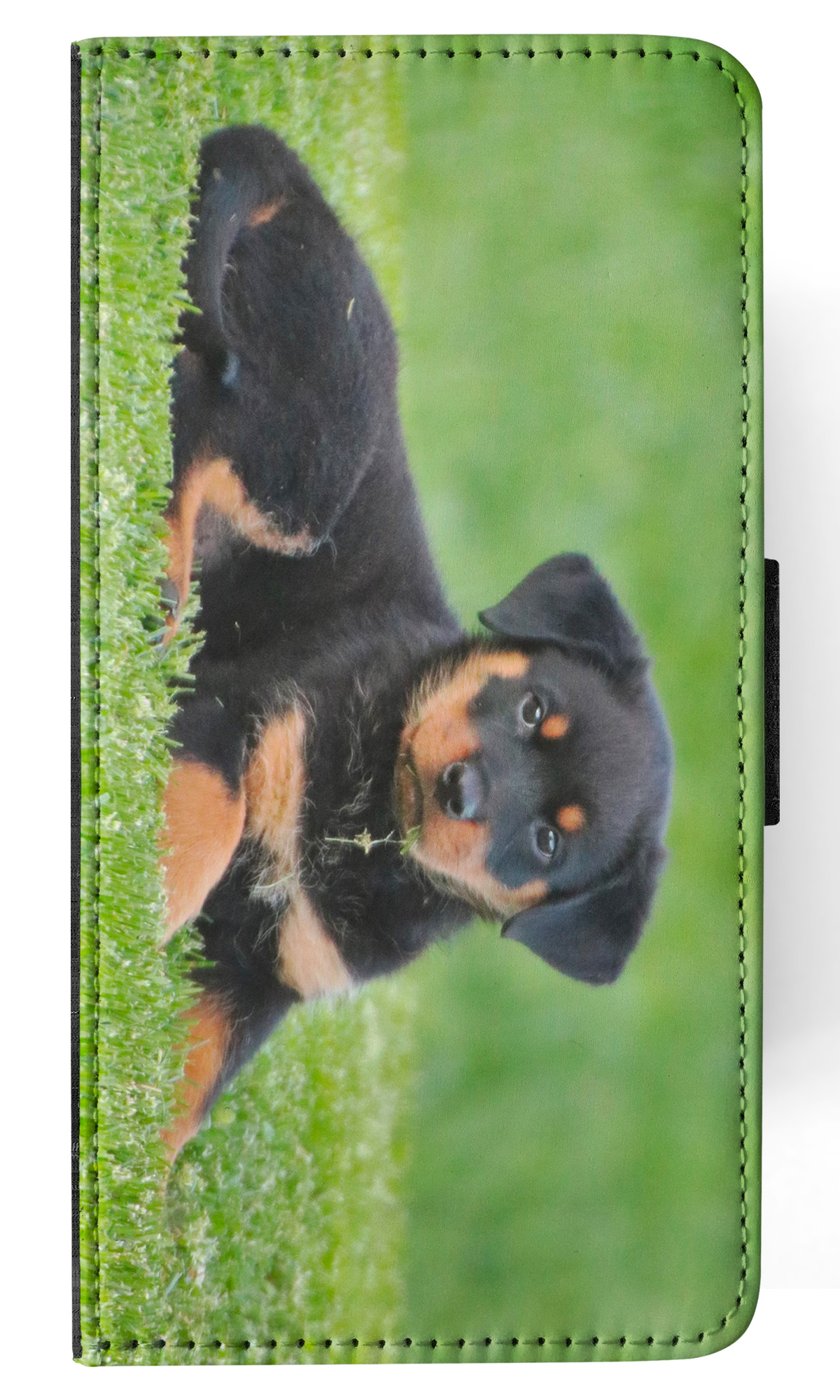 Bild 7 von 120