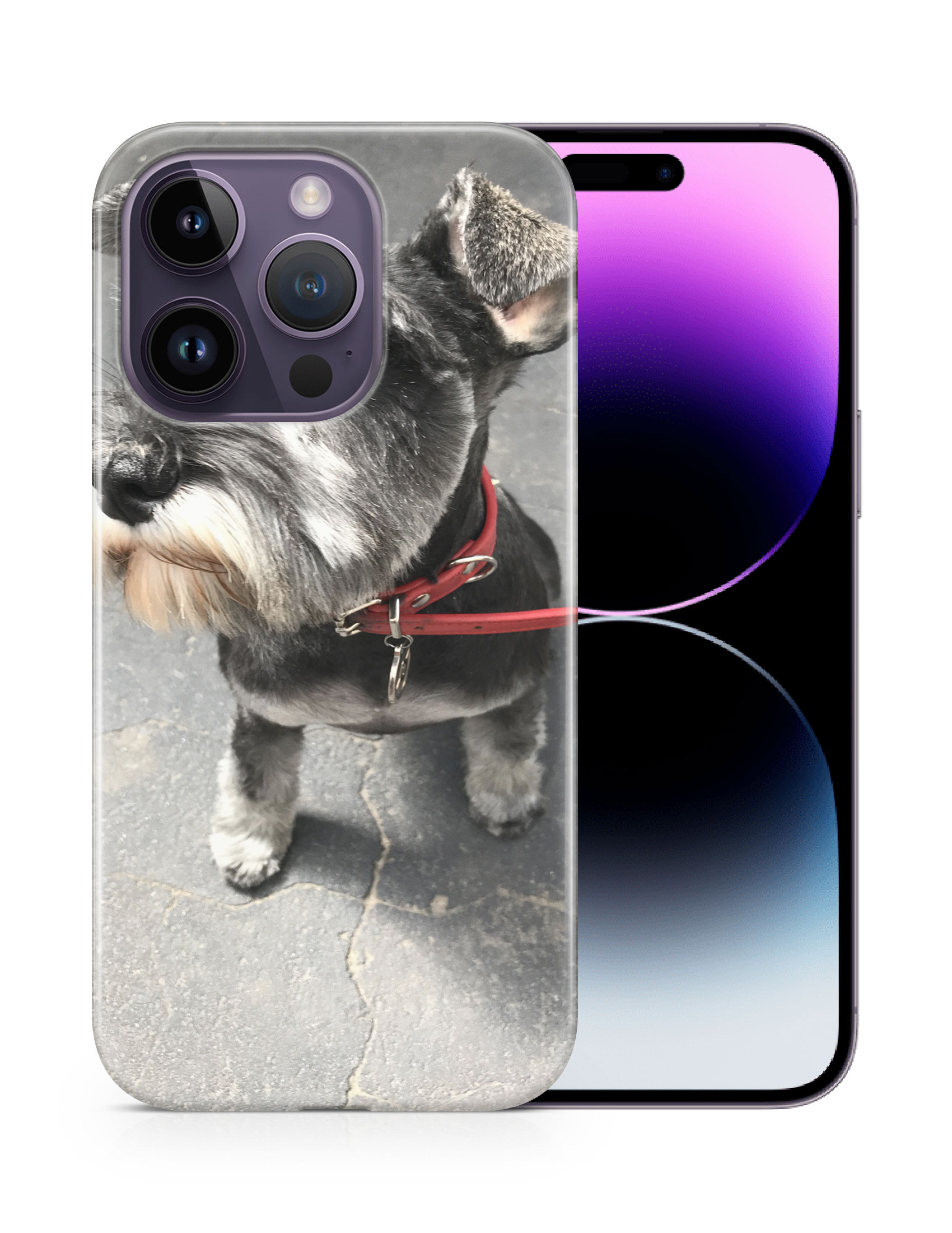 CASE COVER FOR APPLE IPHONE|SCHNAUZER DOG 23 - Bild 11 von 44