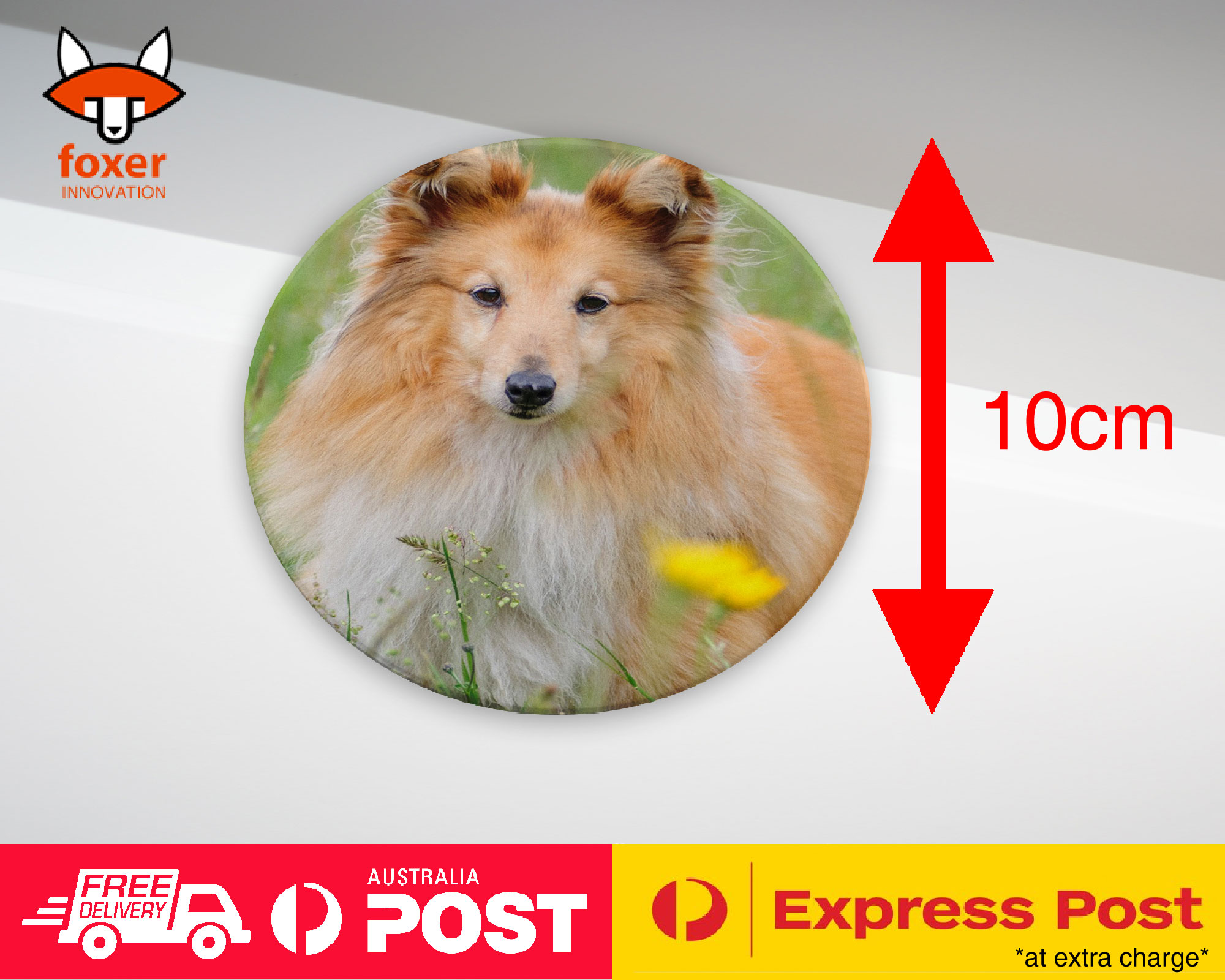COASTER COFFEE DRINKING MAT|SHETLAND SHEEPDOG DOG 2 - Imagen 11 de 21