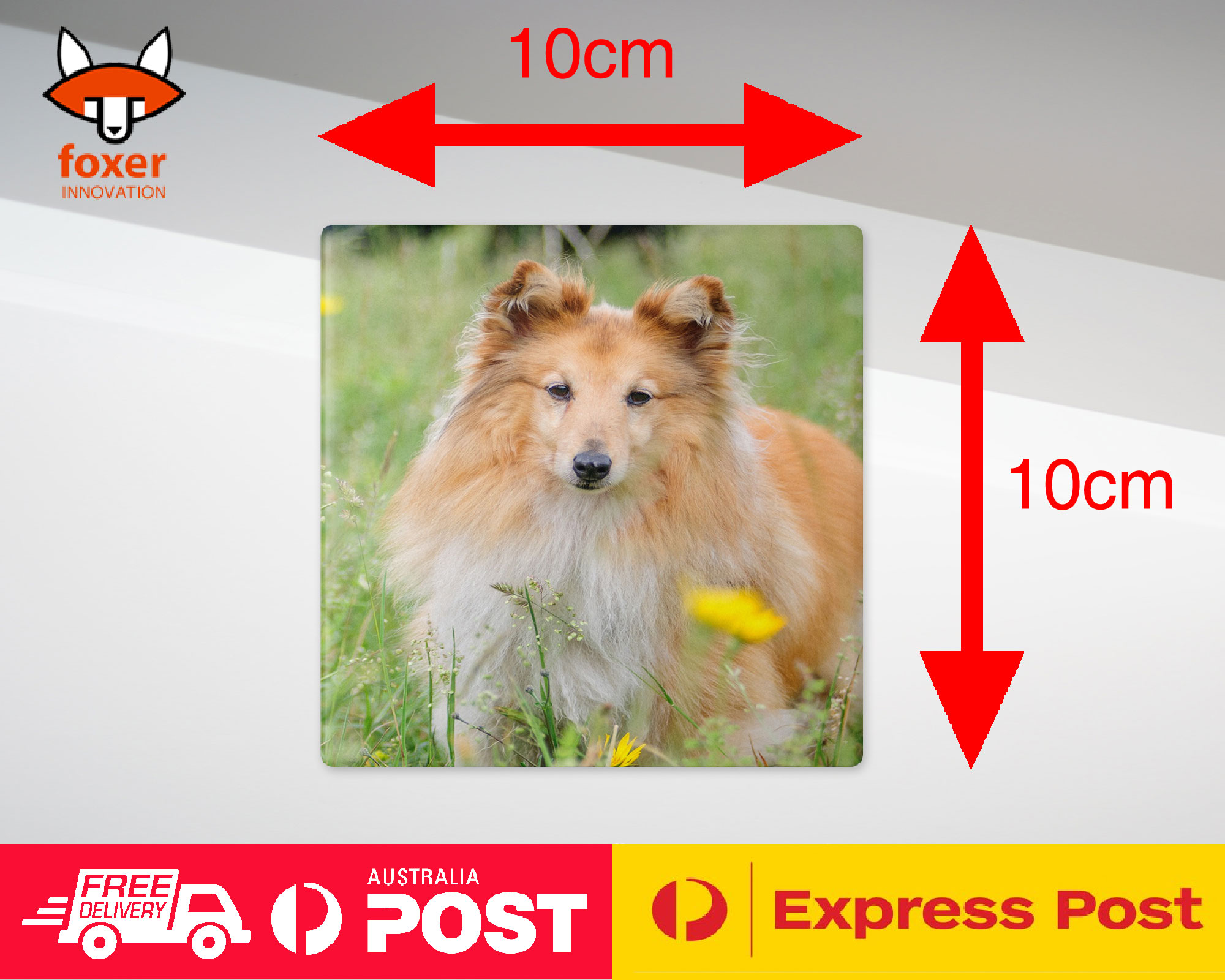 COASTER COFFEE DRINKING MAT|SHETLAND SHEEPDOG DOG 2 - Imagen 21 de 21