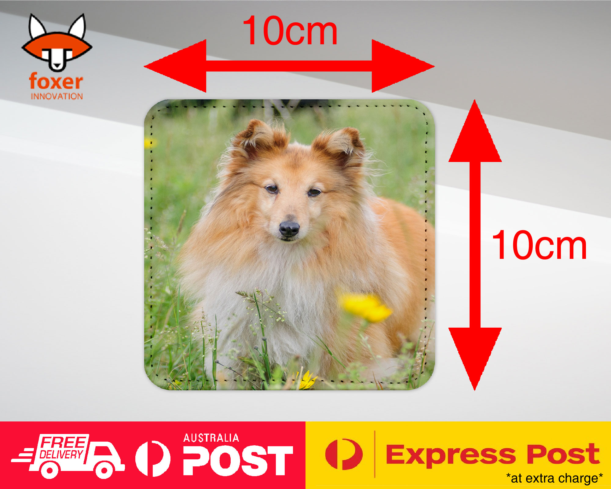 COASTER COFFEE DRINKING MAT|SHETLAND SHEEPDOG DOG 2 - Imagen 17 de 21