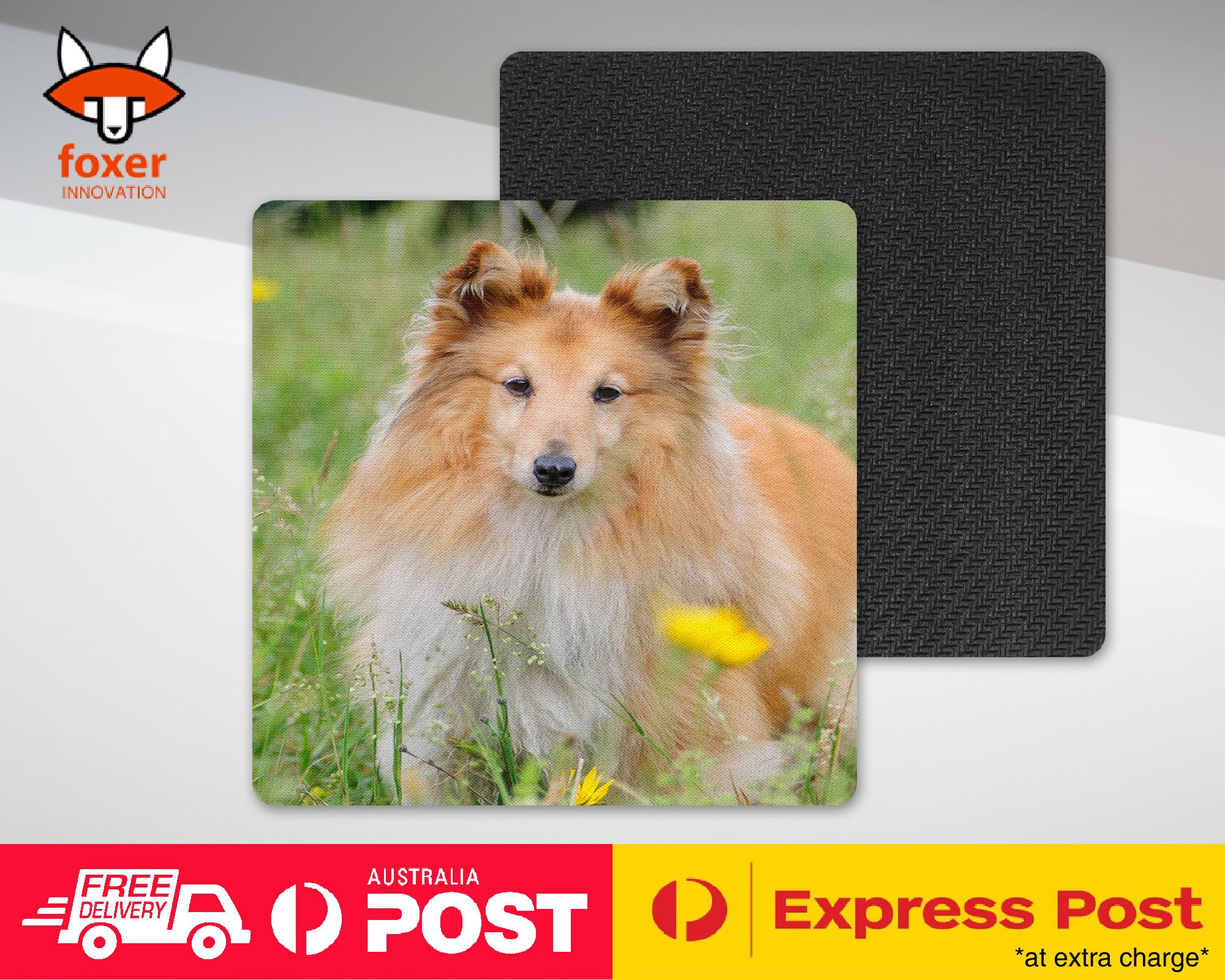 COASTER COFFEE DRINKING MAT|SHETLAND SHEEPDOG DOG 2 - Imagen 12 de 21