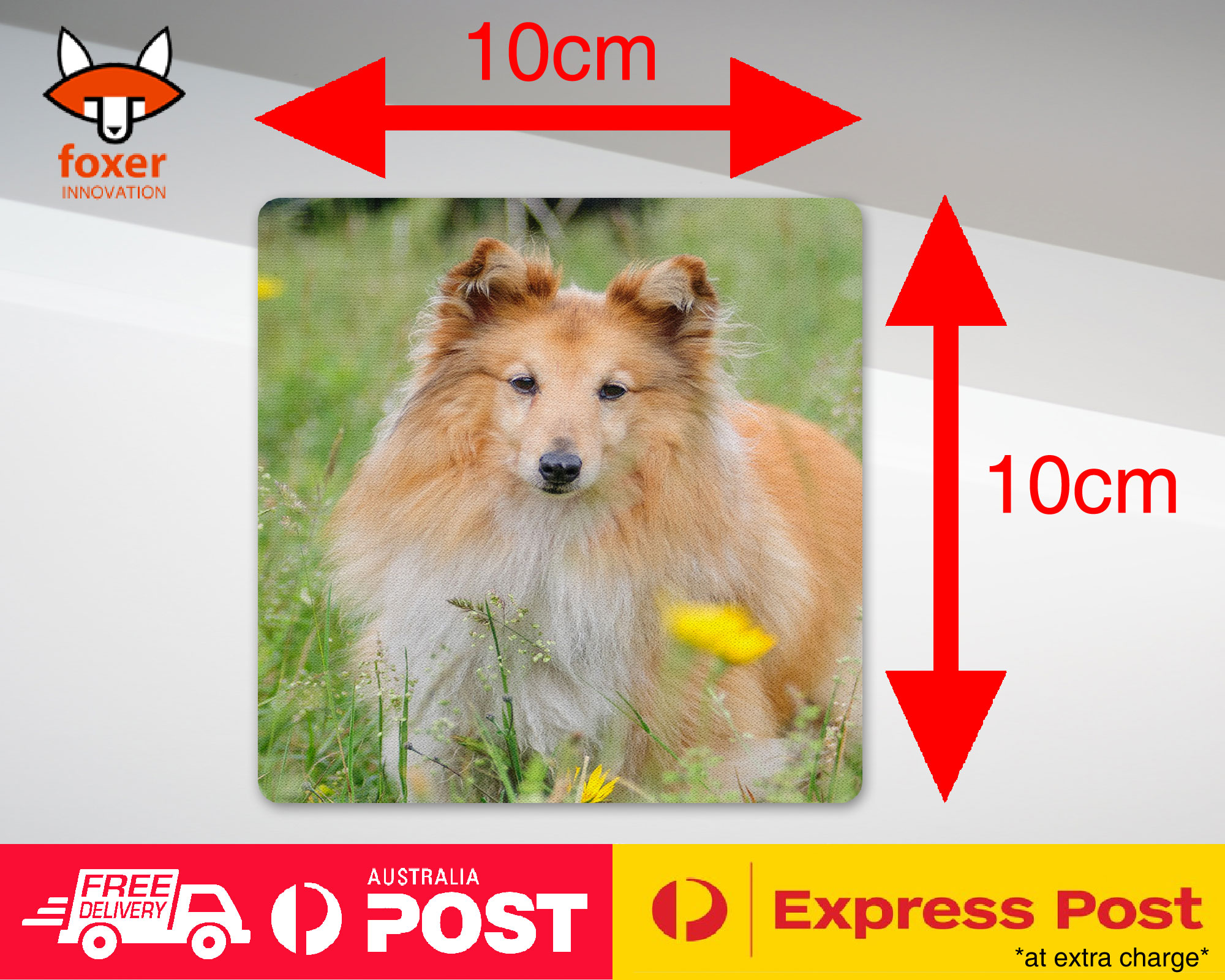 COASTER COFFEE DRINKING MAT|SHETLAND SHEEPDOG DOG 2 - Imagen 14 de 21