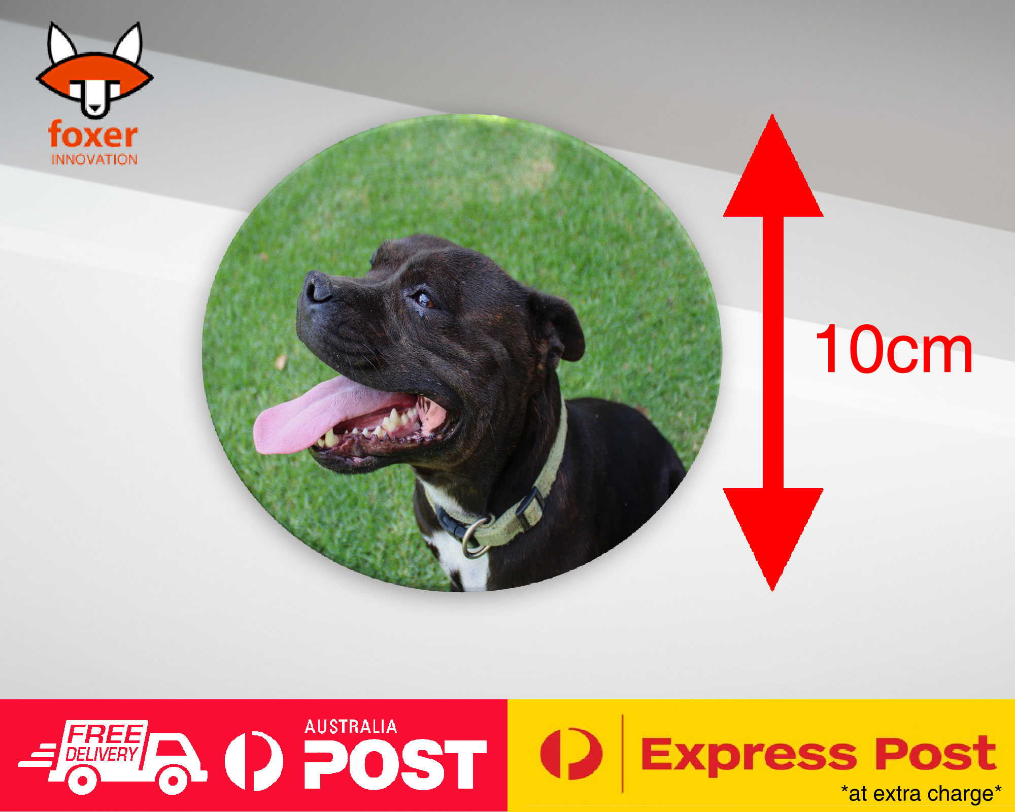 COASTER COFFEE DRINKING MAT|STAFFORDSHIRE BULL TERRIER 2