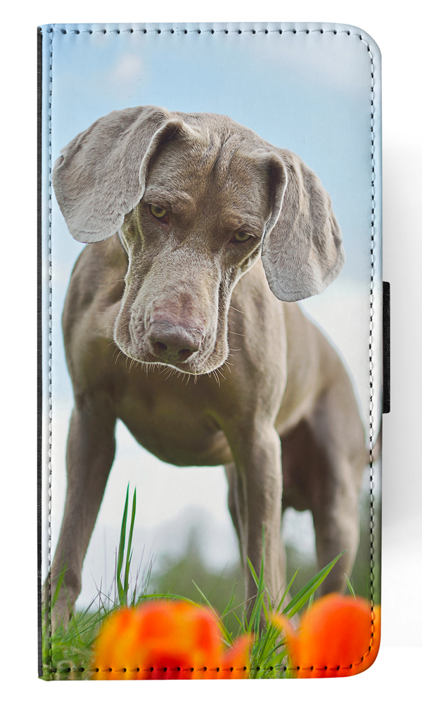 FUNDA ABATIBLE PARA APPLE IPHONE|WEIMARANER DOG 2 - Imagen 115 de 193