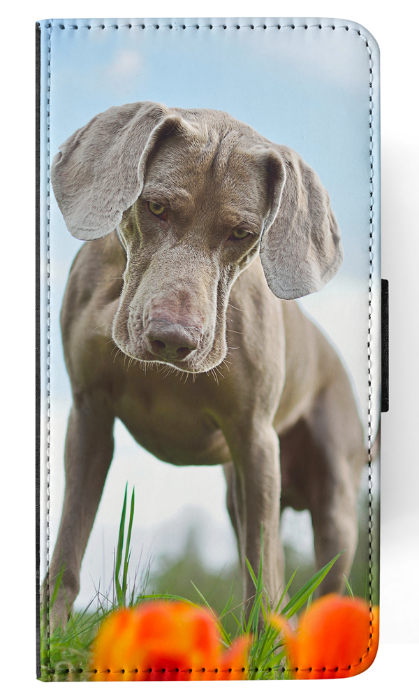 FUNDA ABATIBLE PARA APPLE IPHONE|WEIMARANER DOG 2 - Imagen 95 de 193