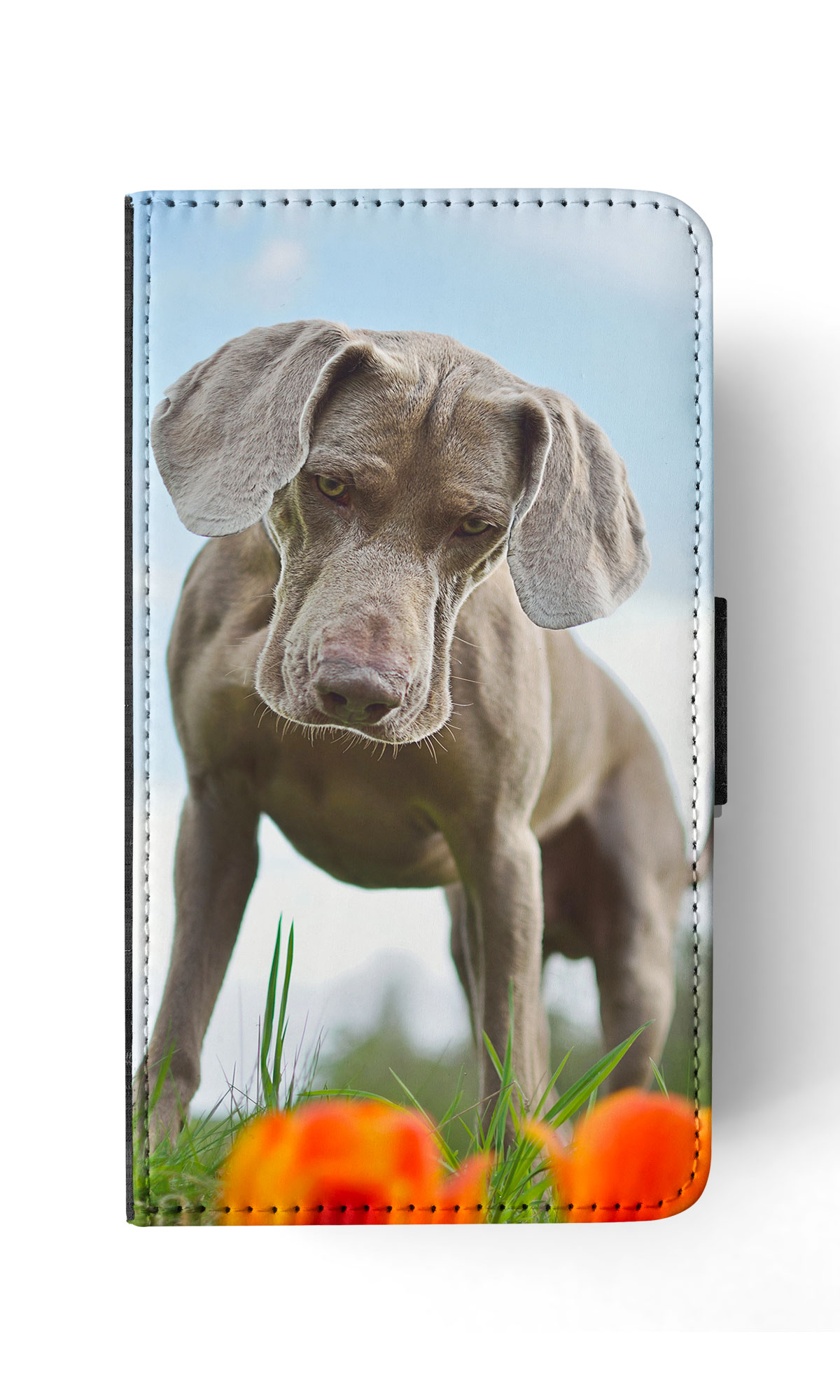 FUNDA ABATIBLE PARA APPLE IPHONE|WEIMARANER DOG 2 - Imagen 170 de 193