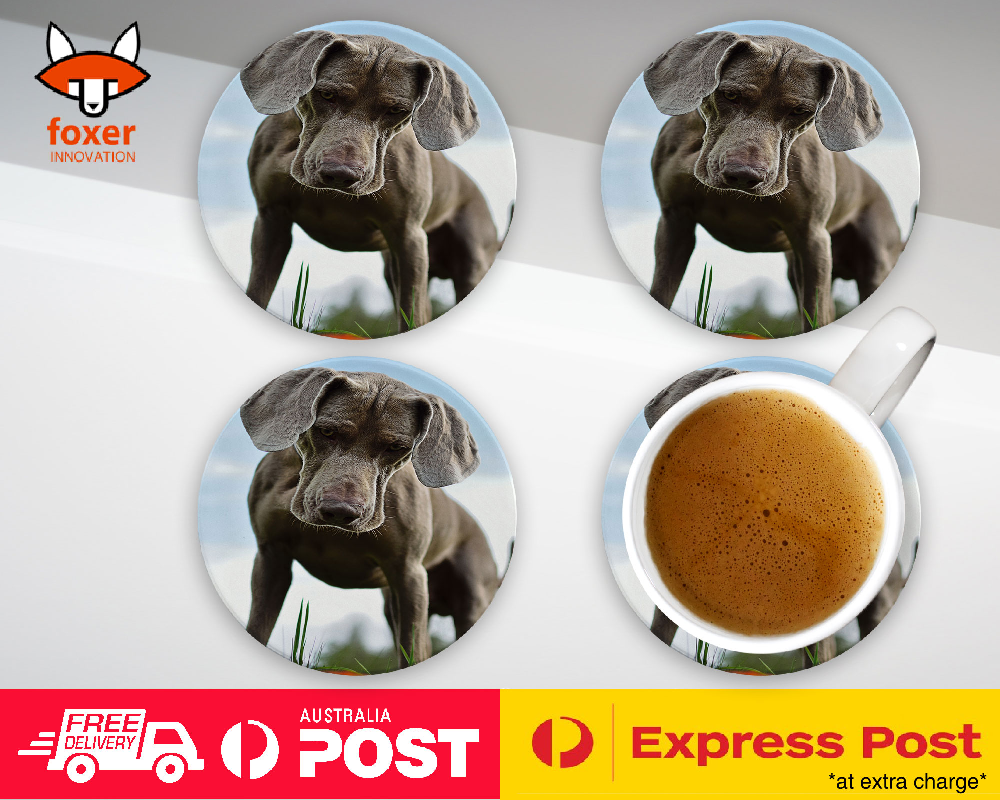 COASTER COFFEE DRINKING MAT|WEIMARANER DOG 2