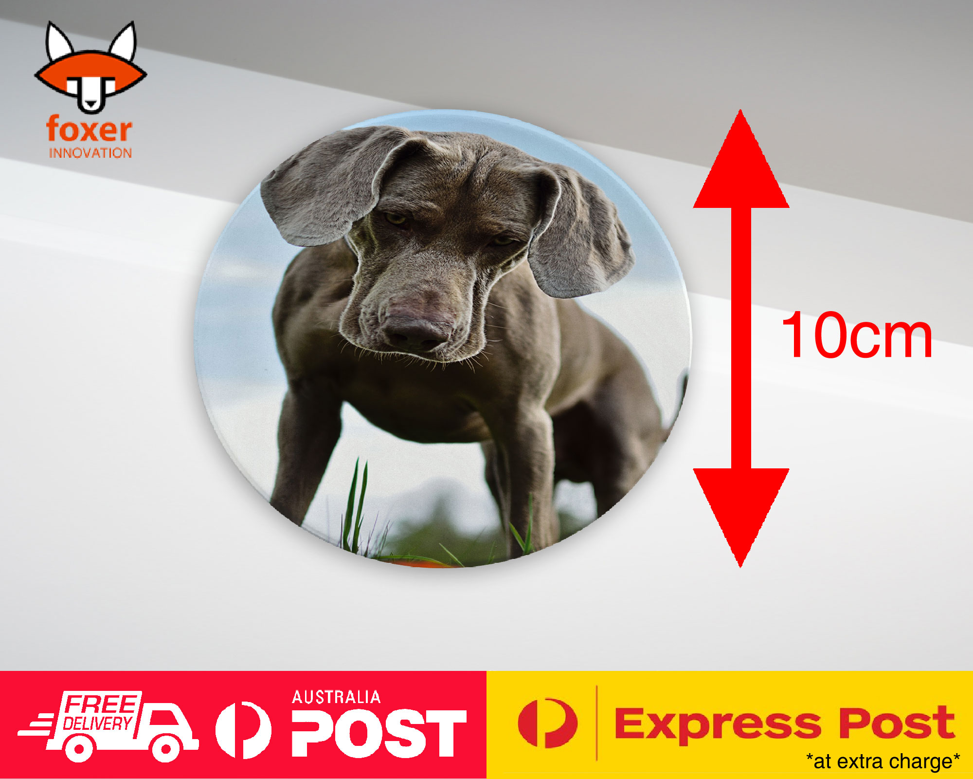 COASTER COFFEE DRINKING MAT|WEIMARANER DOG 2