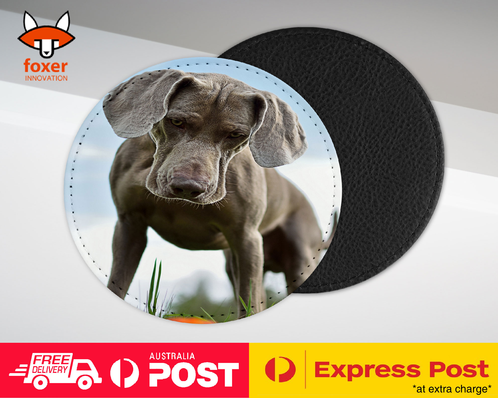 COASTER COFFEE DRINKING MAT|WEIMARANER DOG 2
