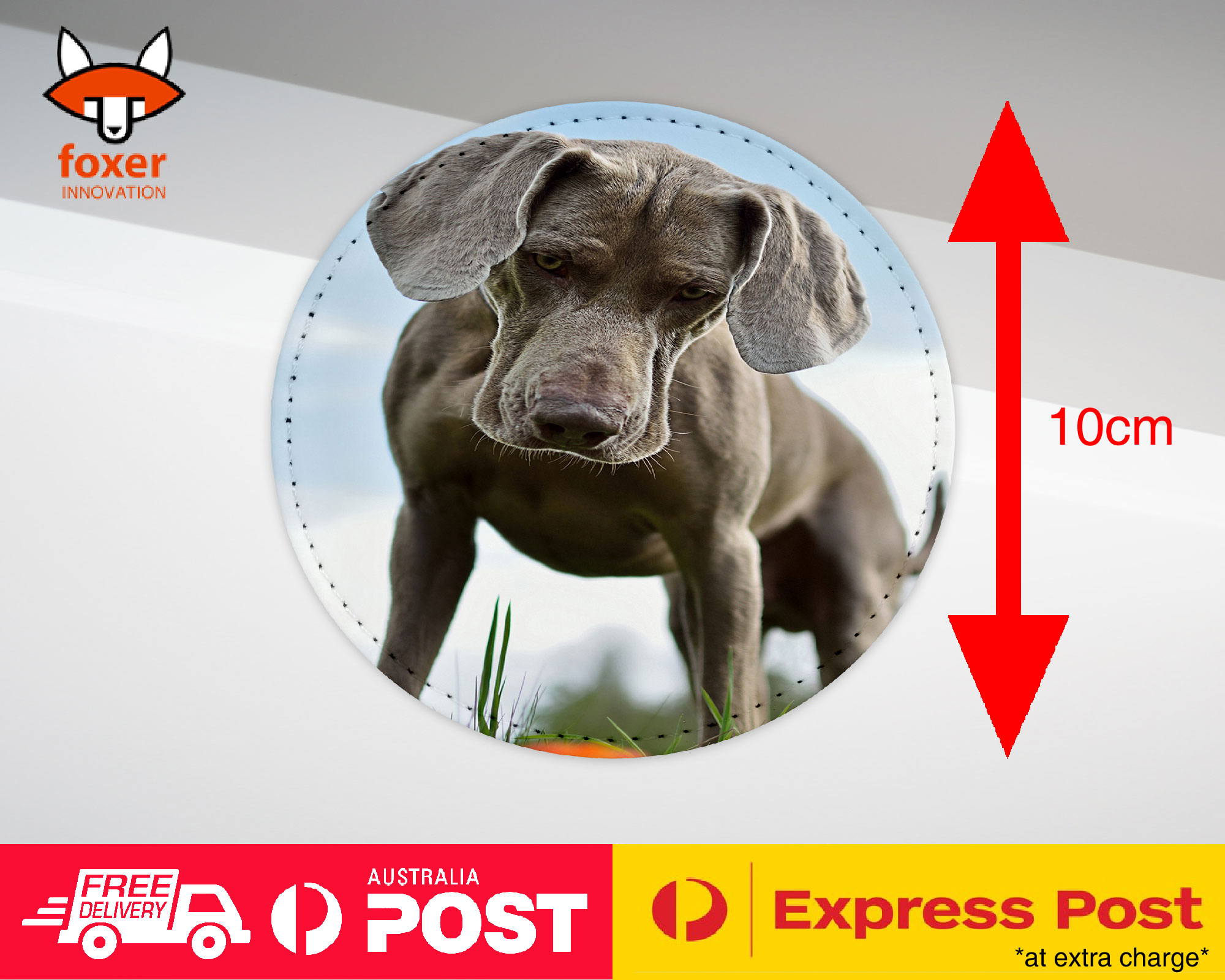 COASTER COFFEE DRINKING MAT|WEIMARANER DOG 2