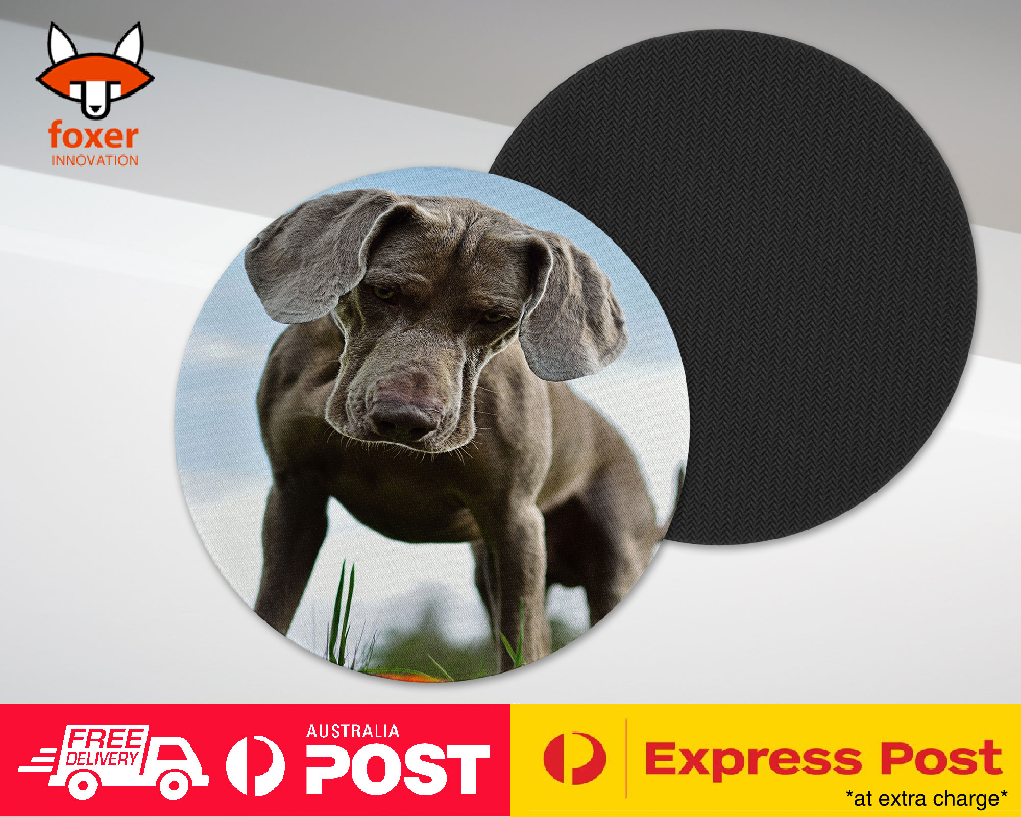 COASTER COFFEE DRINKING MAT|WEIMARANER DOG 2