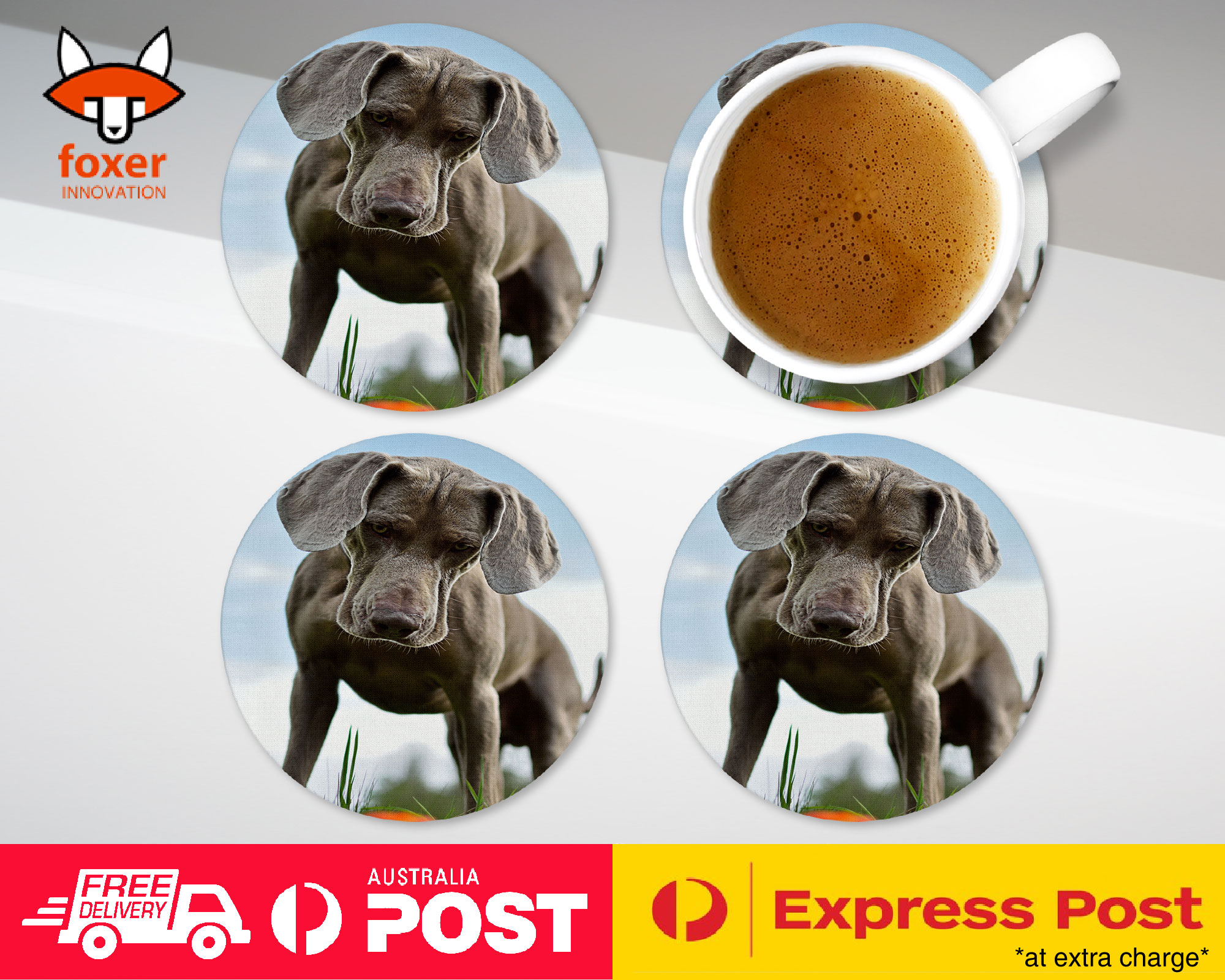 COASTER COFFEE DRINKING MAT|WEIMARANER DOG 2