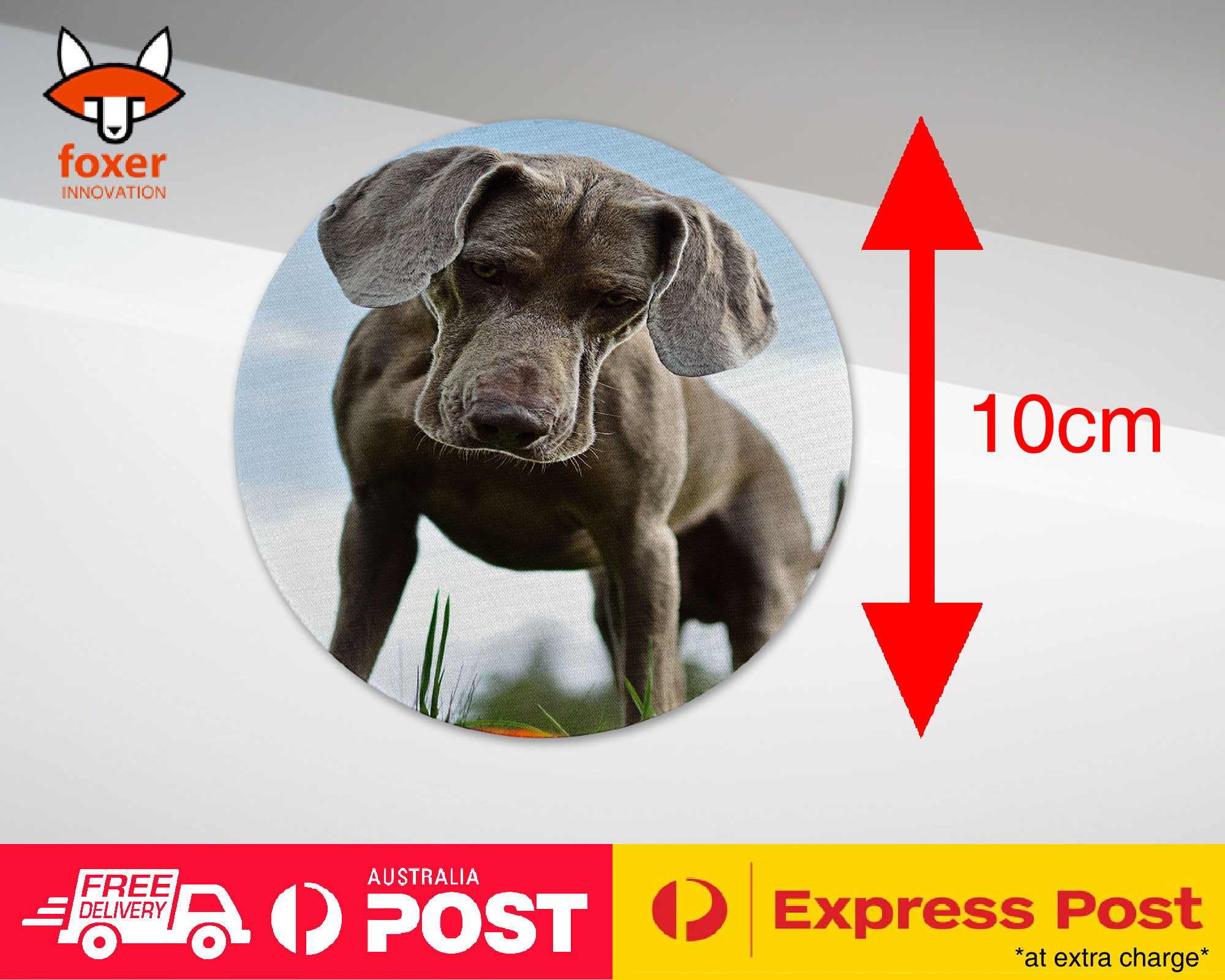 COASTER COFFEE DRINKING MAT|WEIMARANER DOG 2