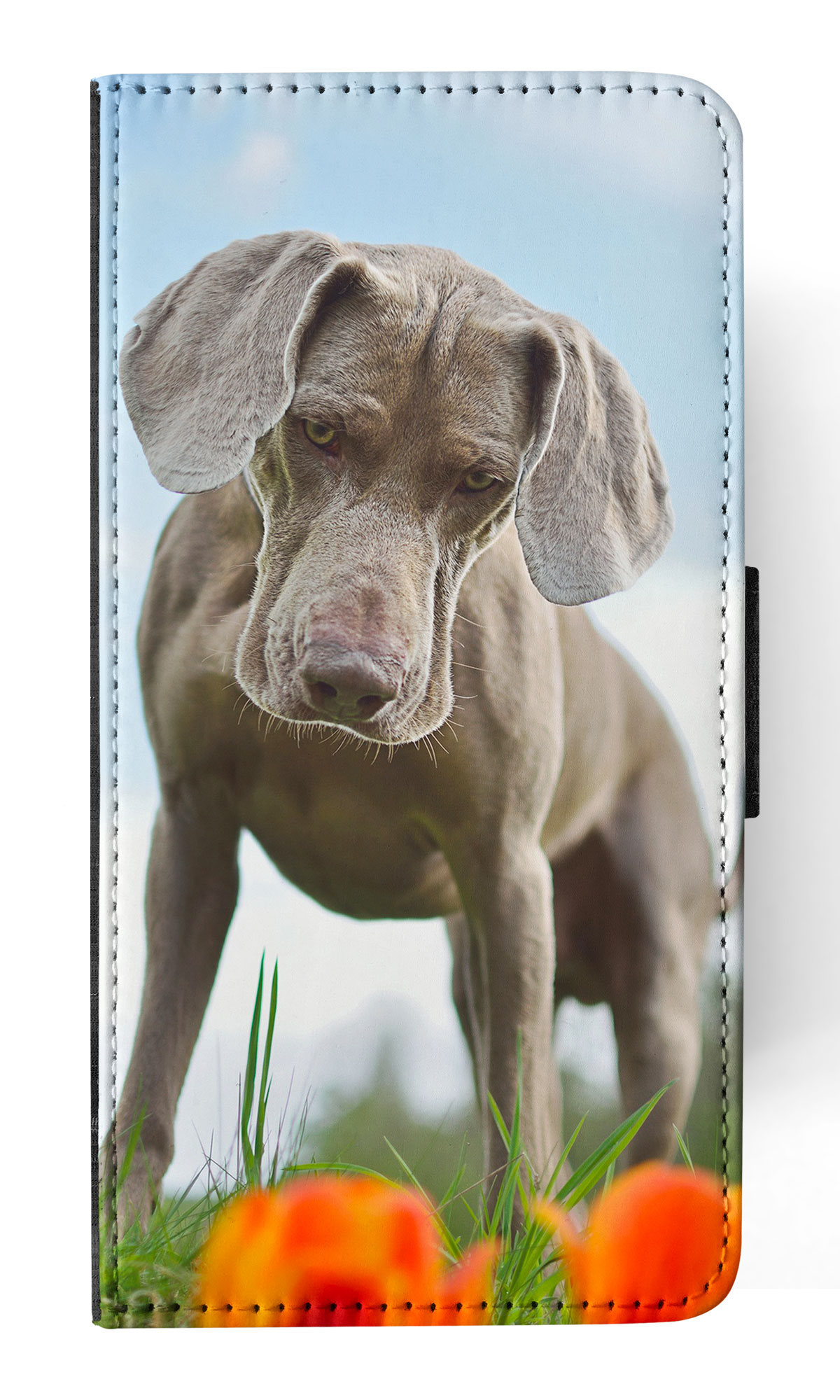 FUNDA ABATIBLE PARA APPLE IPHONE|WEIMARANER DOG 2 - Imagen 57 de 193