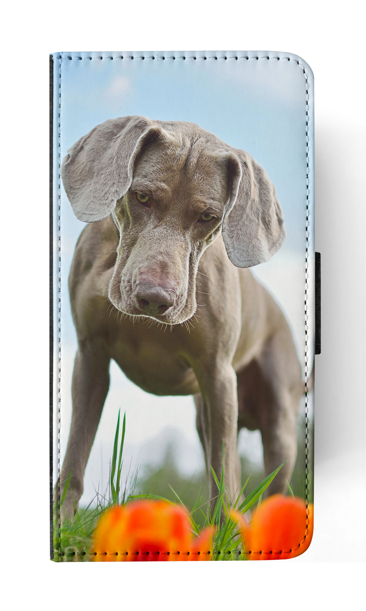FUNDA ABATIBLE PARA APPLE IPHONE|WEIMARANER DOG 2 - Imagen 52 de 193