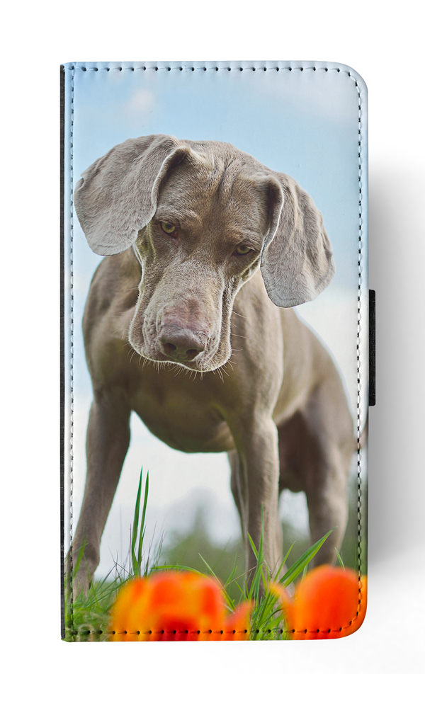 FUNDA ABATIBLE PARA APPLE IPHONE|WEIMARANER DOG 2 - Imagen 160 de 193