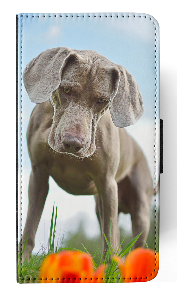 FUNDA ABATIBLE PARA APPLE IPHONE|WEIMARANER DOG 2 - Imagen 150 de 193
