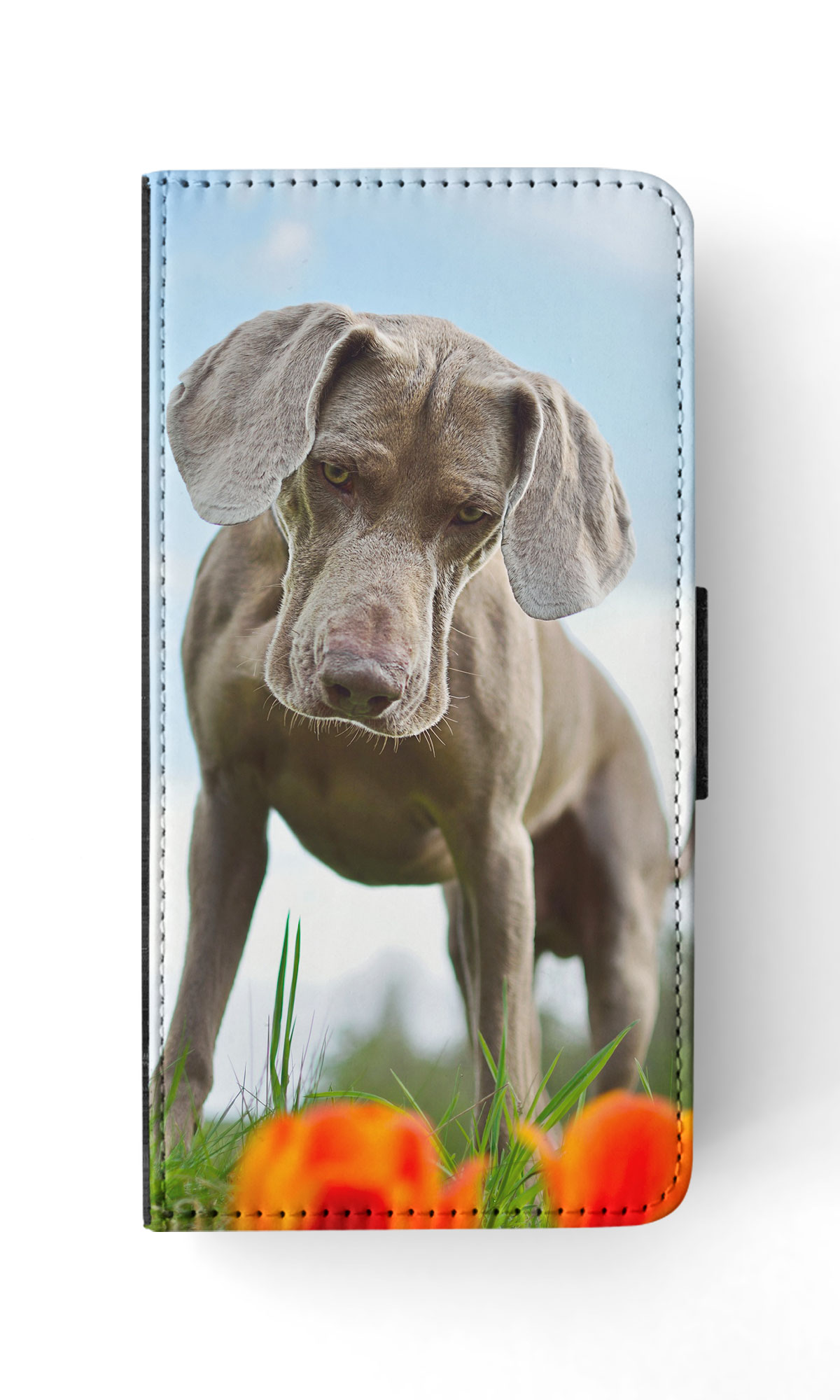 FUNDA ABATIBLE PARA APPLE IPHONE|WEIMARANER DOG 2 - Imagen 32 de 193