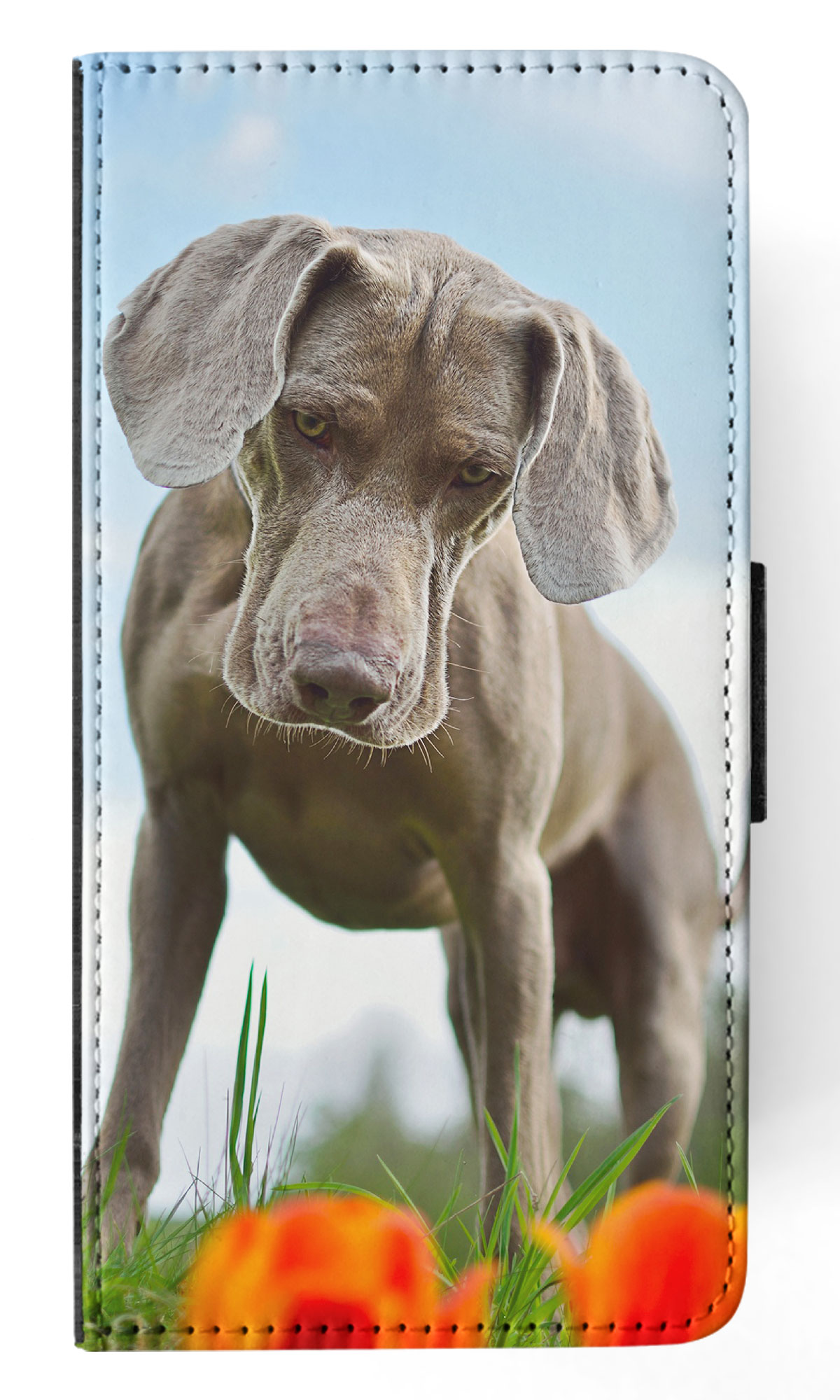 FUNDA ABATIBLE PARA APPLE IPHONE|WEIMARANER DOG 2 - Imagen 27 de 193