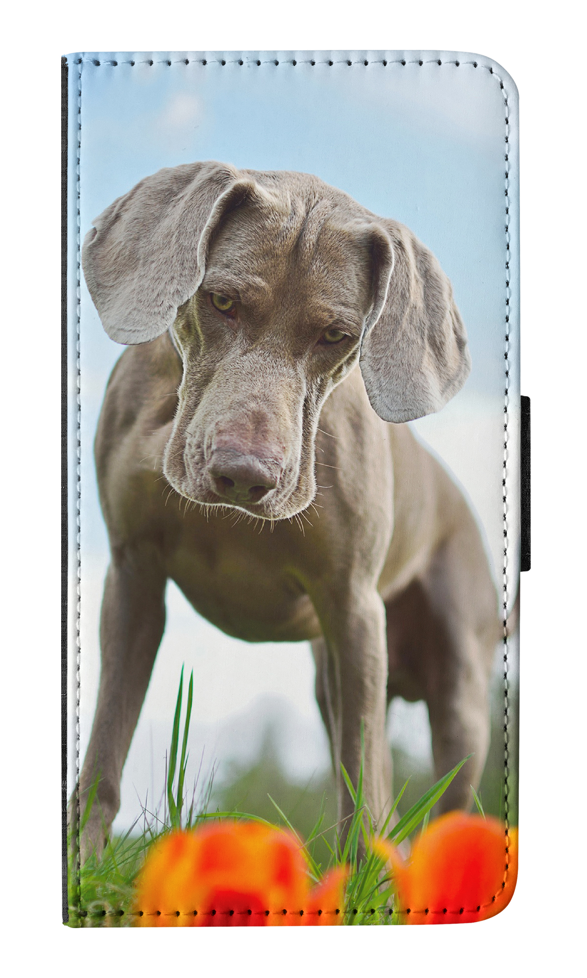 FUNDA ABATIBLE PARA APPLE IPHONE|WEIMARANER DOG 2 - Imagen 12 de 193