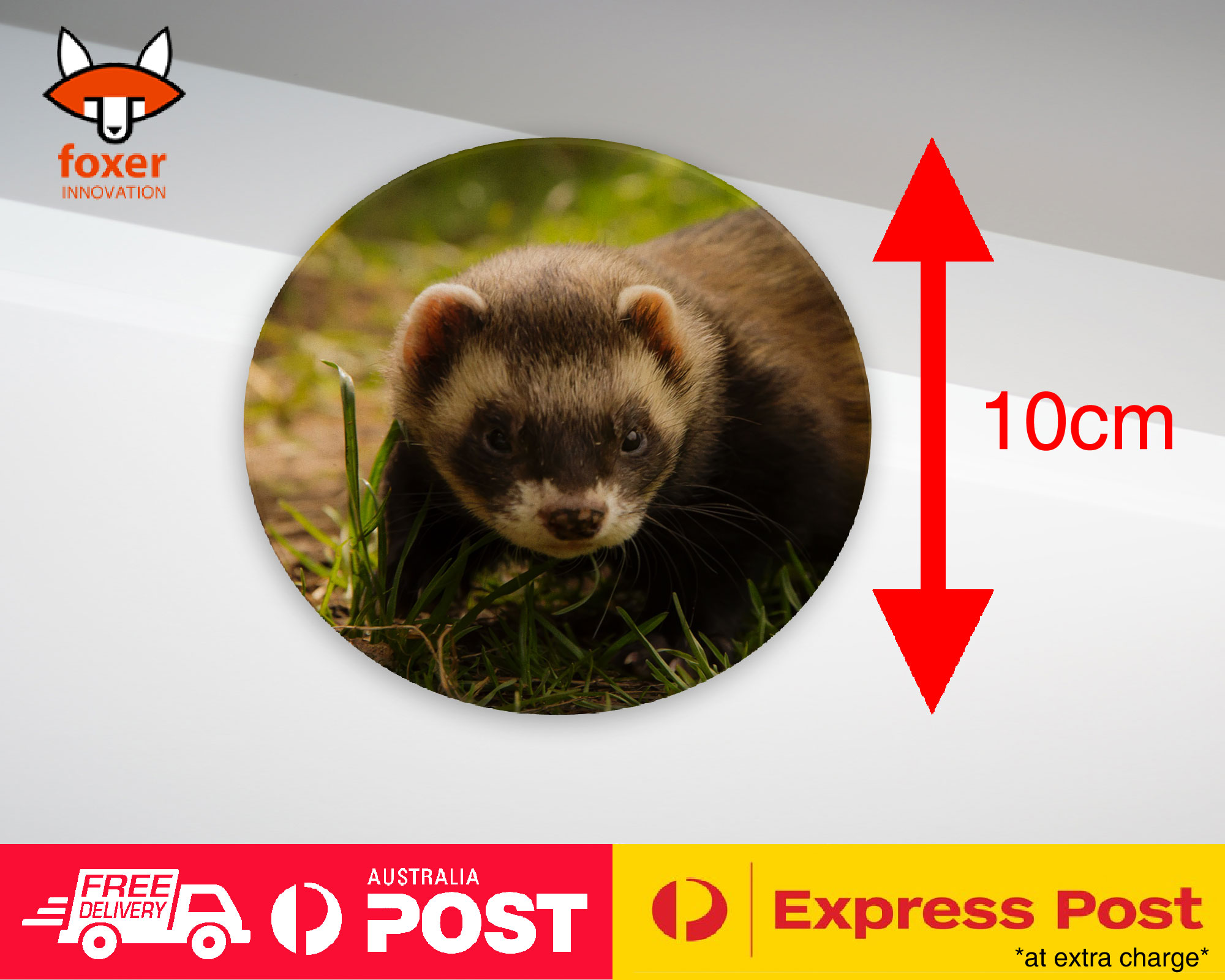 COASTER COFFEE DRINKING MAT|FERRETS PET ANIMAL 8