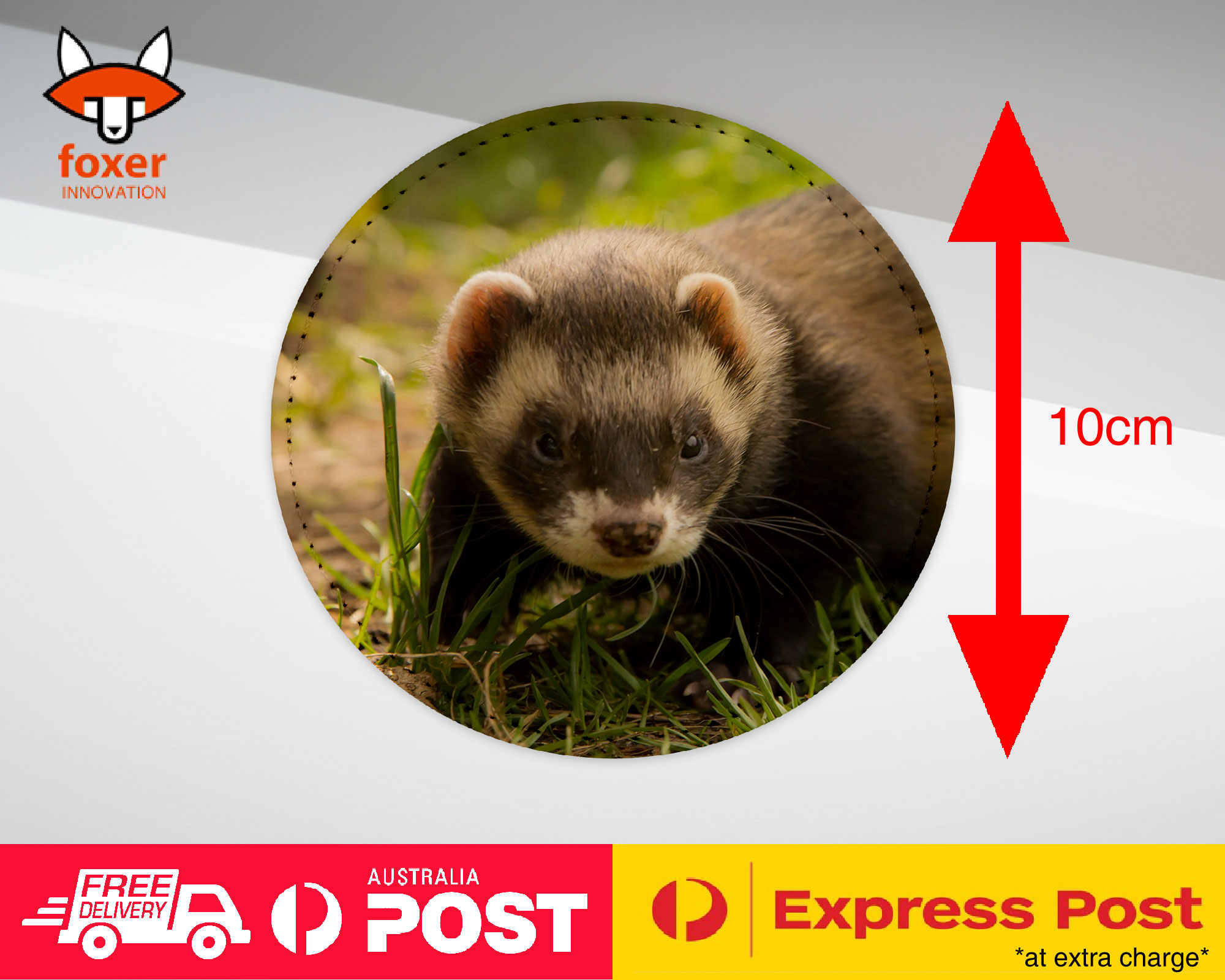 COASTER COFFEE DRINKING MAT|FERRETS PET ANIMAL 8