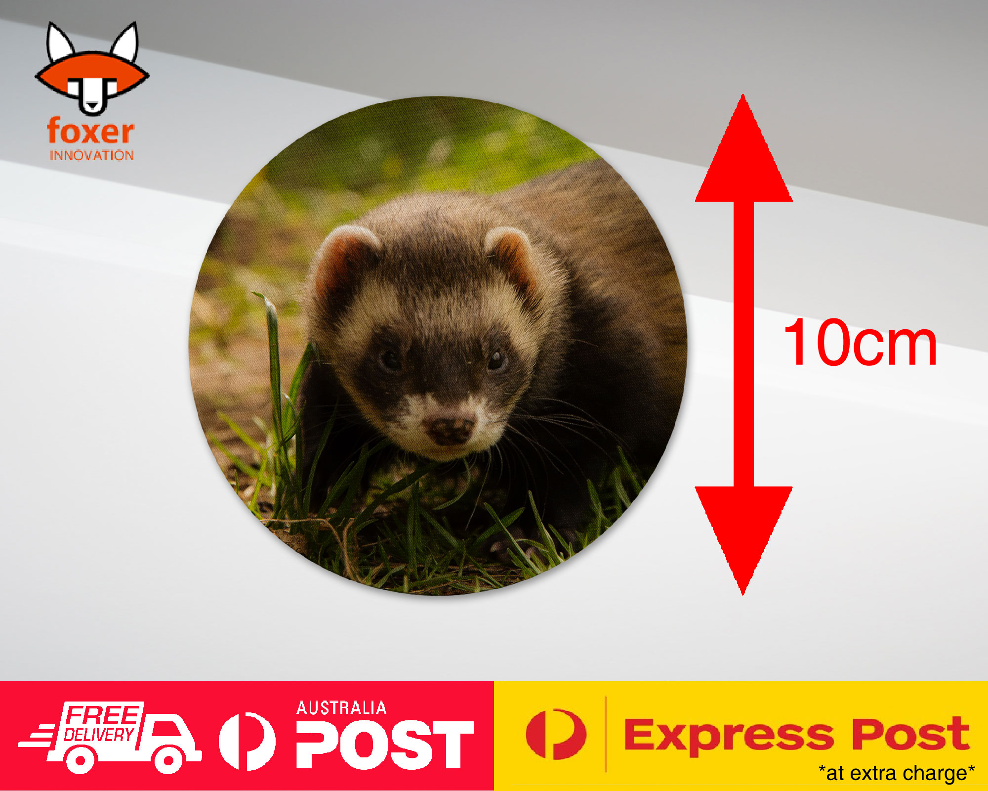 COASTER COFFEE DRINKING MAT|FERRETS PET ANIMAL 8