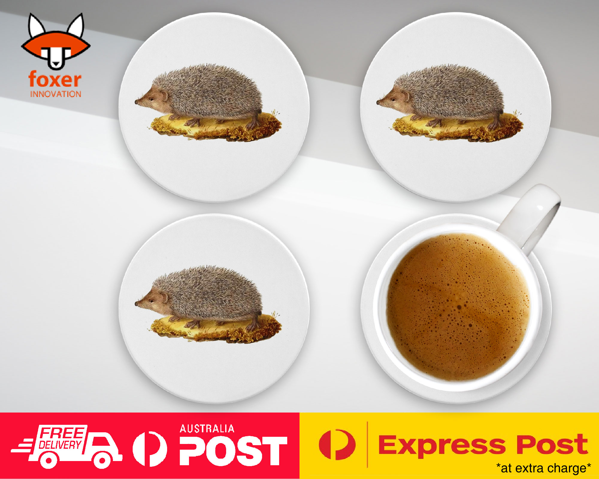 COASTER COFFEE DRINKING MAT|CUTE ECHIDNA HEDGEHOG SKETCH ART