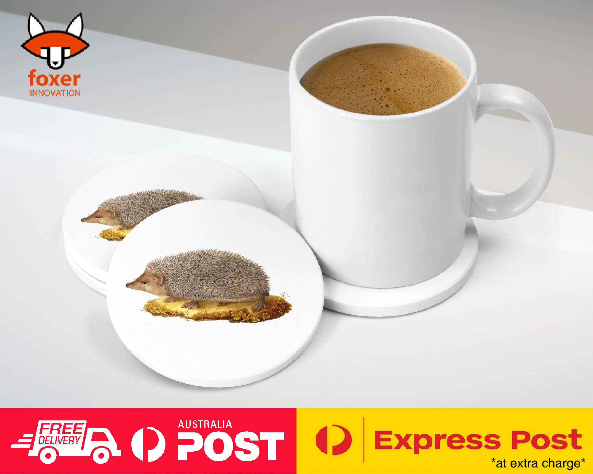 COASTER COFFEE DRINKING MAT|CUTE ECHIDNA HEDGEHOG SKETCH ART