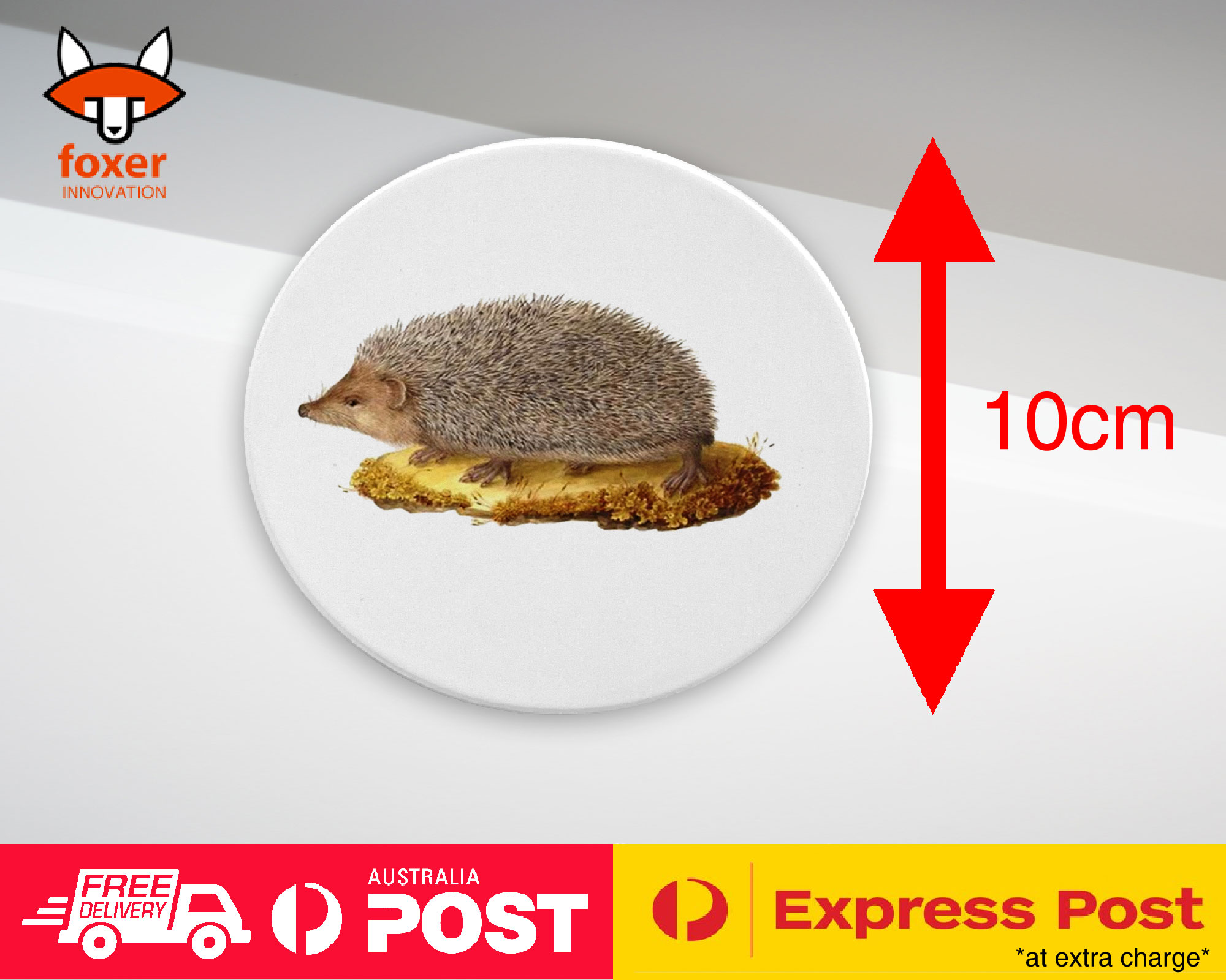 COASTER COFFEE DRINKING MAT|CUTE ECHIDNA HEDGEHOG SKETCH ART