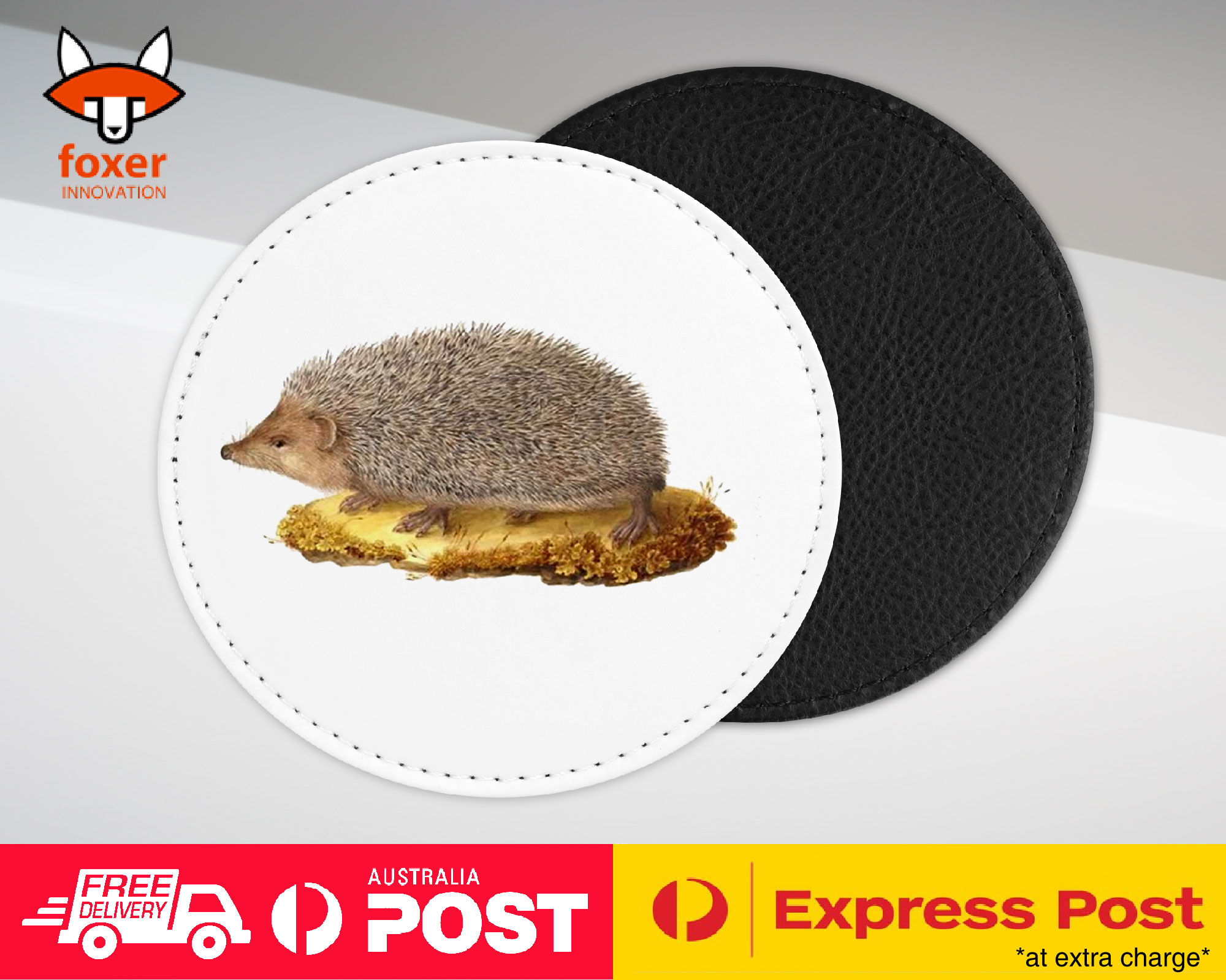 COASTER COFFEE DRINKING MAT|CUTE ECHIDNA HEDGEHOG SKETCH ART