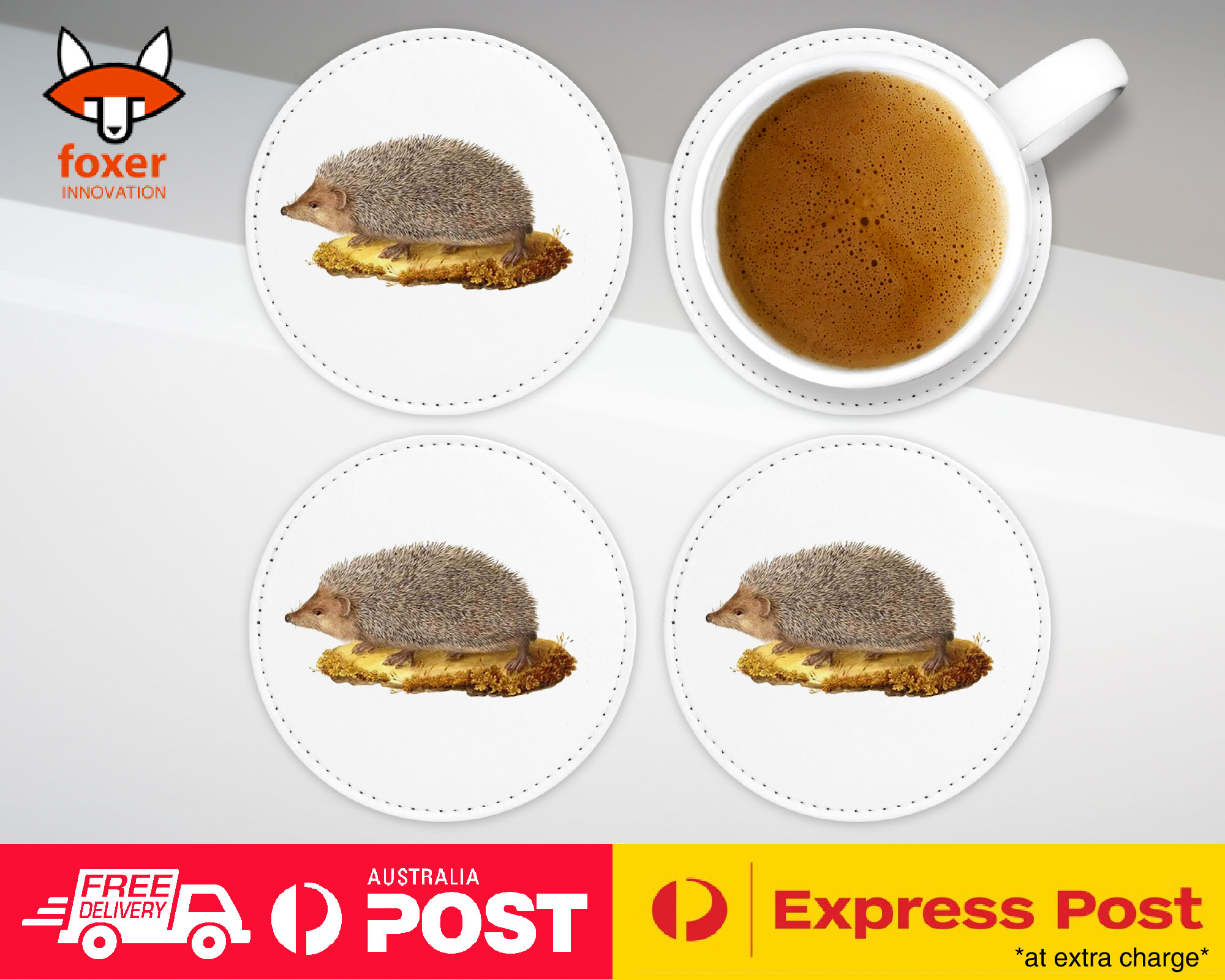 COASTER COFFEE DRINKING MAT|CUTE ECHIDNA HEDGEHOG SKETCH ART