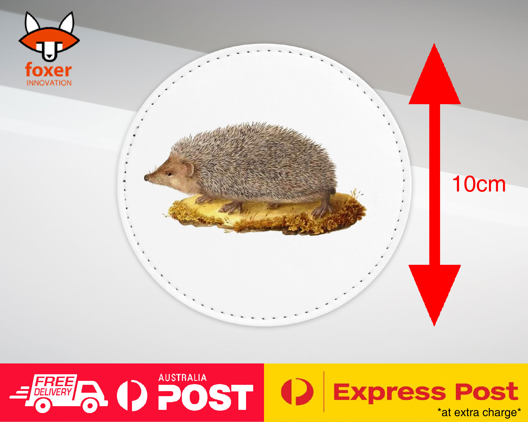 COASTER COFFEE DRINKING MAT|CUTE ECHIDNA HEDGEHOG SKETCH ART