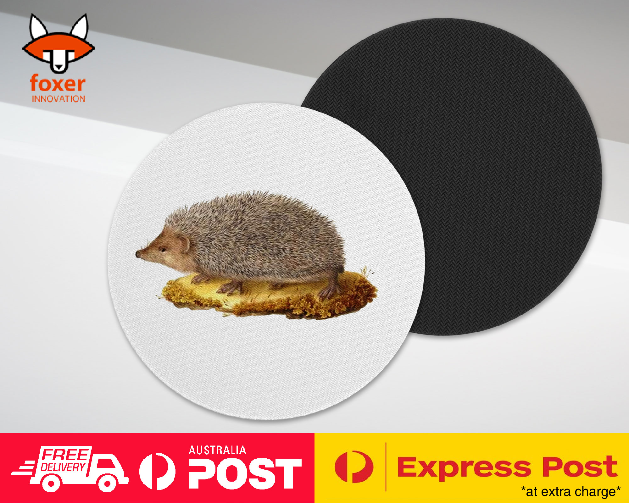 COASTER COFFEE DRINKING MAT|CUTE ECHIDNA HEDGEHOG SKETCH ART