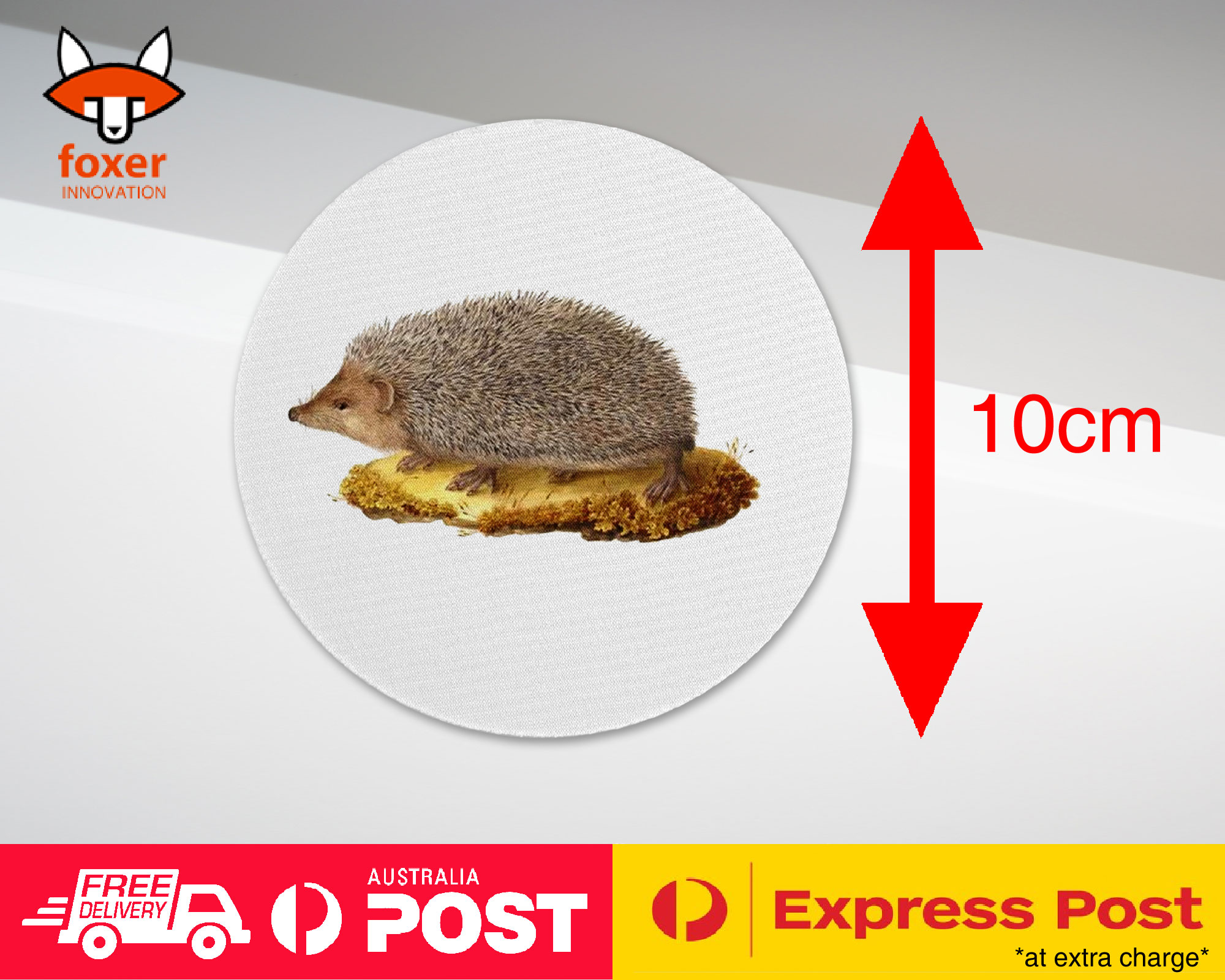 COASTER COFFEE DRINKING MAT|CUTE ECHIDNA HEDGEHOG SKETCH ART