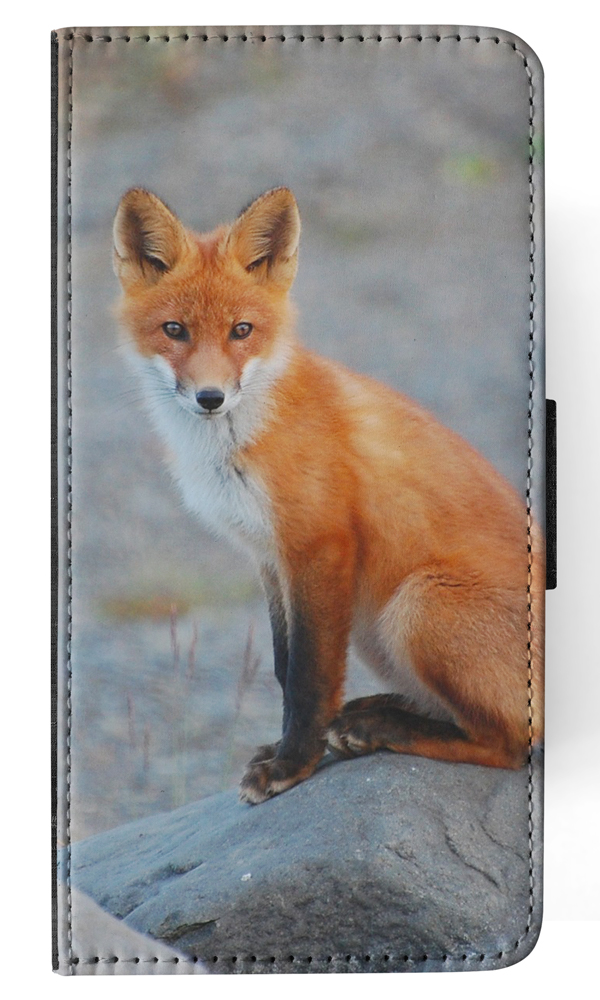 FUNDA ABATIBLE PARA APPLE IPHONE|FOX 12 - Imagen 100 de 193