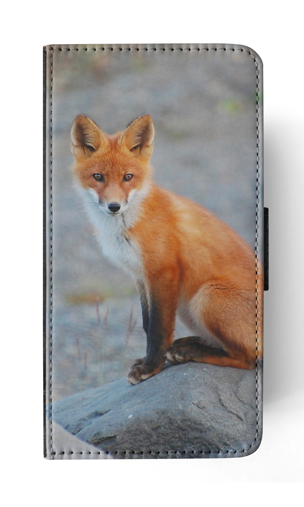 FUNDA ABATIBLE PARA APPLE IPHONE|FOX 12 - Imagen 160 de 193