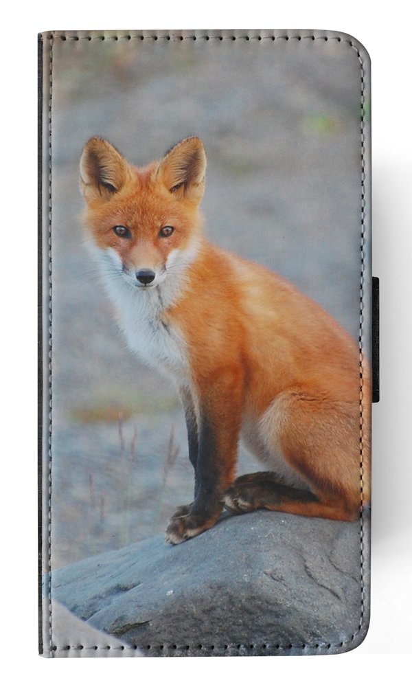 FUNDA ABATIBLE PARA APPLE IPHONE|FOX 12 - Imagen 150 de 193
