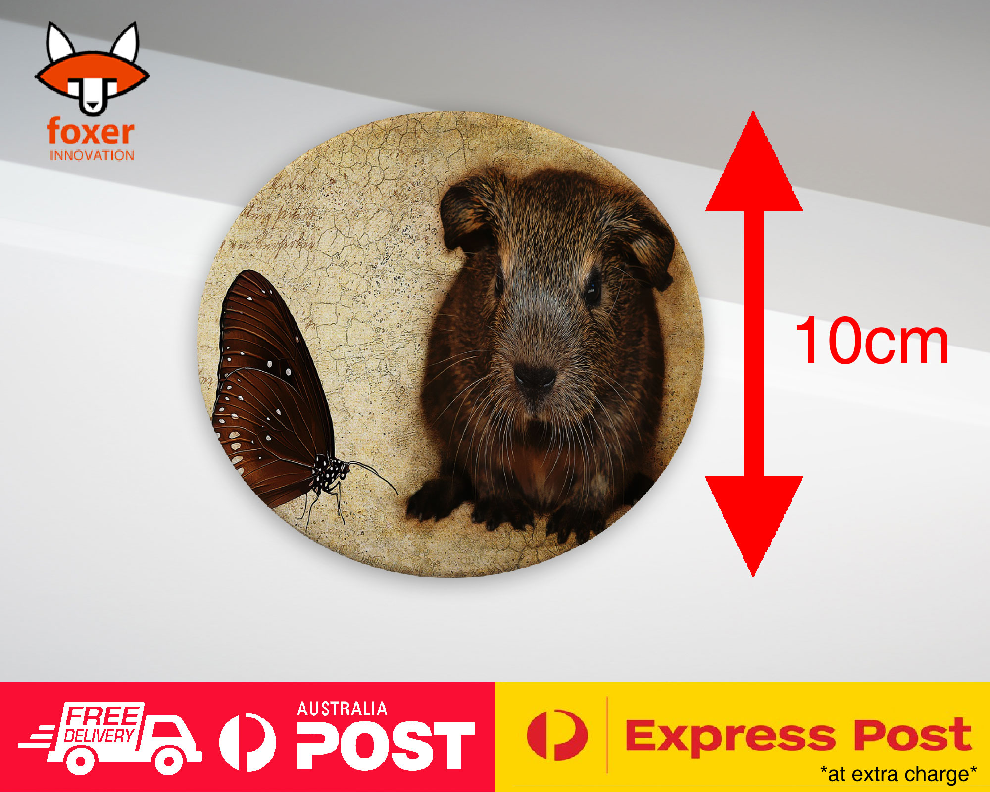 COASTER COFFEE DRINKING MAT|GUINEA PIGS 3