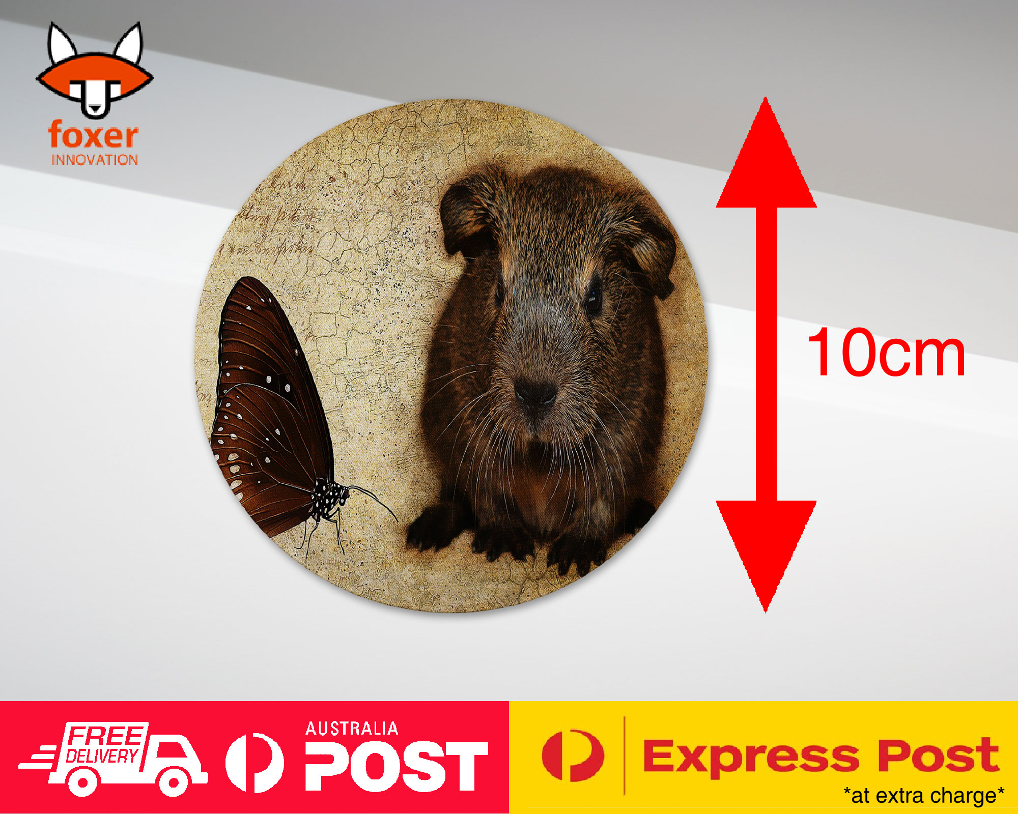 COASTER COFFEE DRINKING MAT|GUINEA PIGS 3